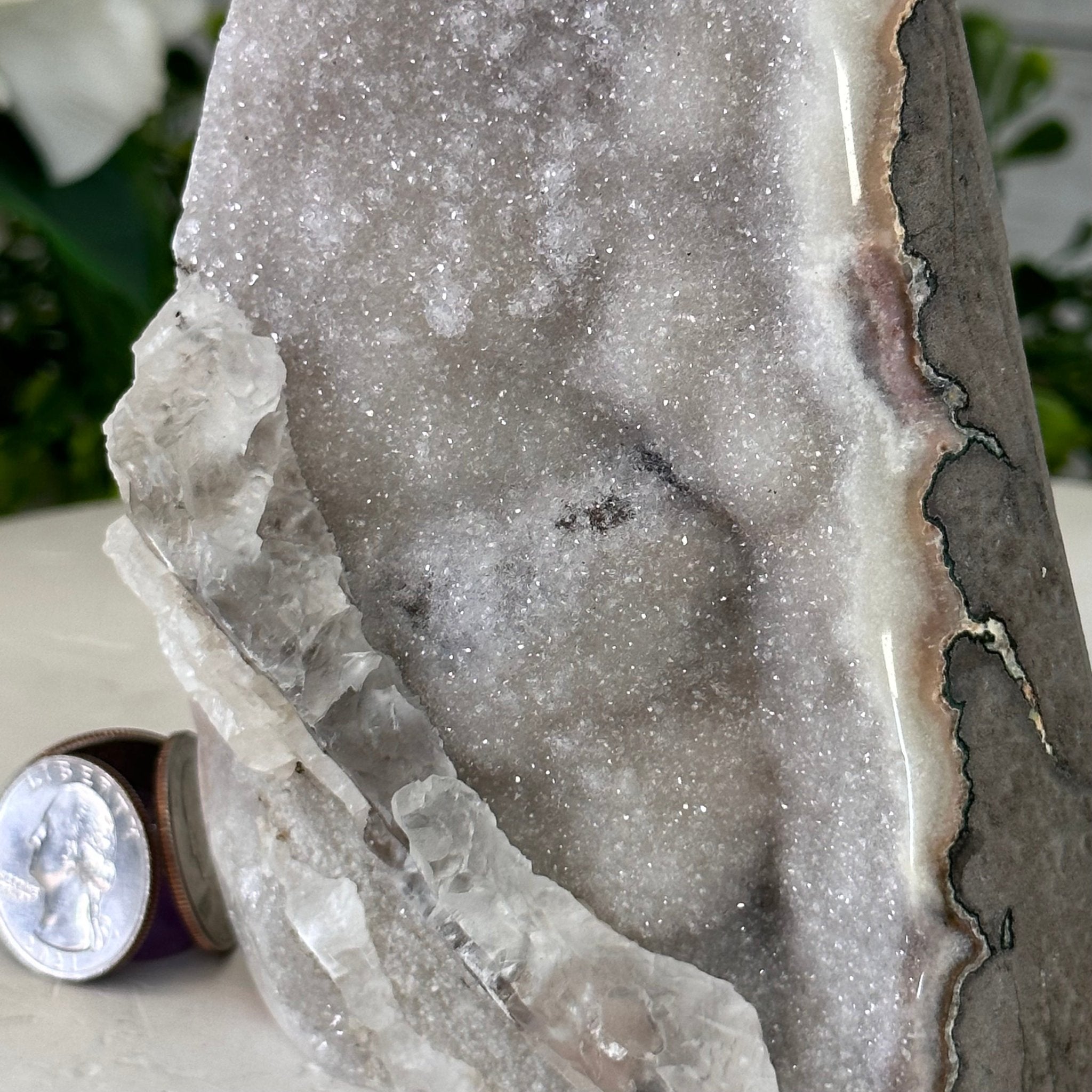 Extra Quality Galaxy White Amethyst Cluster w/ flat bottom, 6.2" Tall #5611 - 0373 - Brazil GemsBrazil GemsExtra Quality Galaxy White Amethyst Cluster w/ flat bottom, 6.2" Tall #5611 - 0373Small Clusters with Flat Bases5611 - 0373