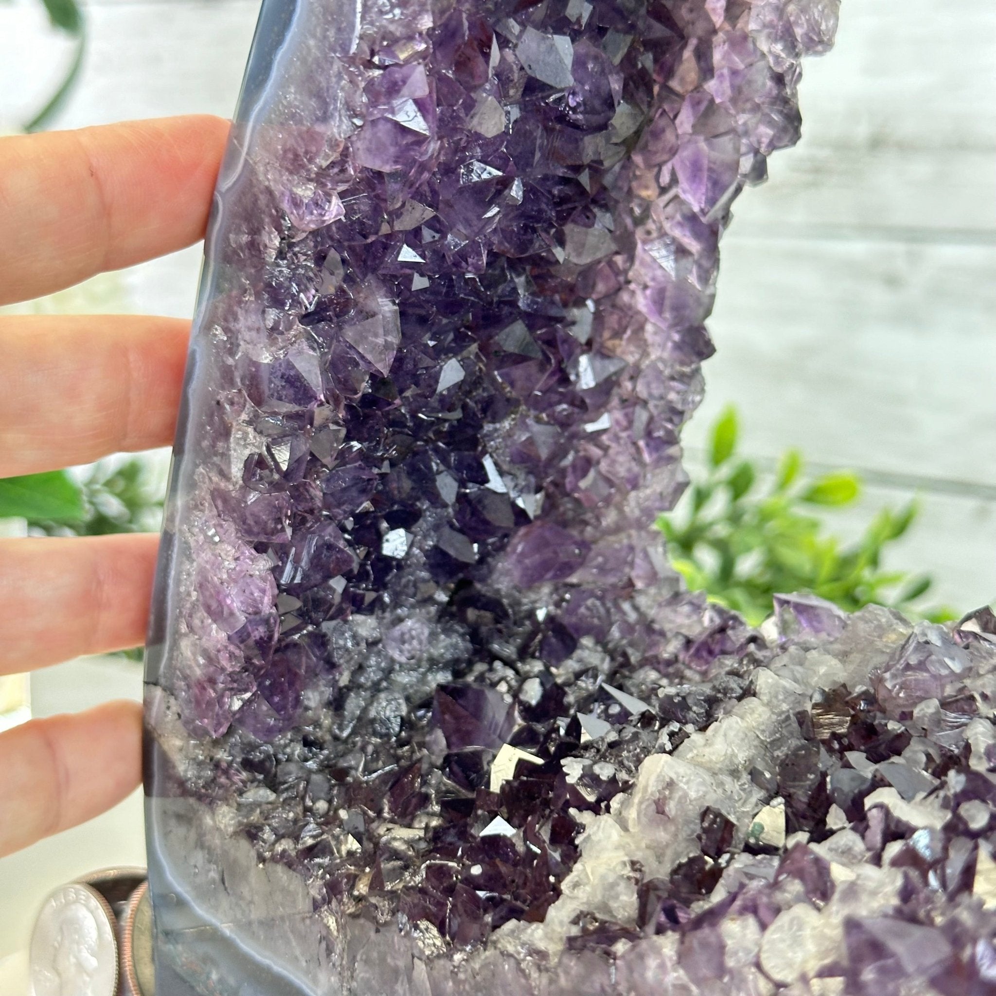 Extra Quality Open 2 - Sided Amethyst Cathedral 11 lbs & 9.3" Tall #5605 - 0148 - Brazil GemsBrazil GemsExtra Quality Open 2 - Sided Amethyst Cathedral 11 lbs & 9.3" Tall #5605 - 0148Open 2 - Sided Cathedrals5605 - 0148