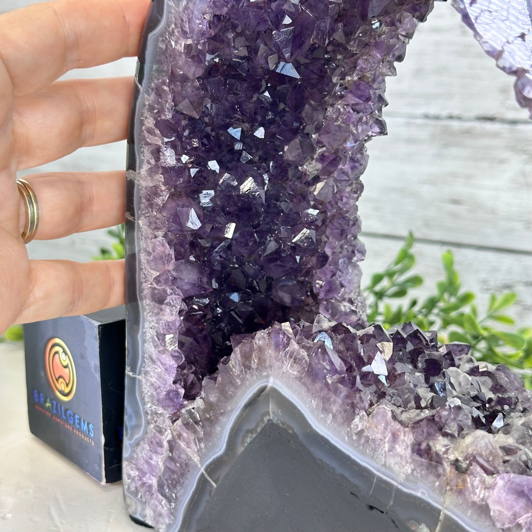 Extra Quality Open 2 - Sided Amethyst Cathedral 11 lbs & 9.3" Tall #5605 - 0148 - Brazil GemsBrazil GemsExtra Quality Open 2 - Sided Amethyst Cathedral 11 lbs & 9.3" Tall #5605 - 0148Open 2 - Sided Cathedrals5605 - 0148