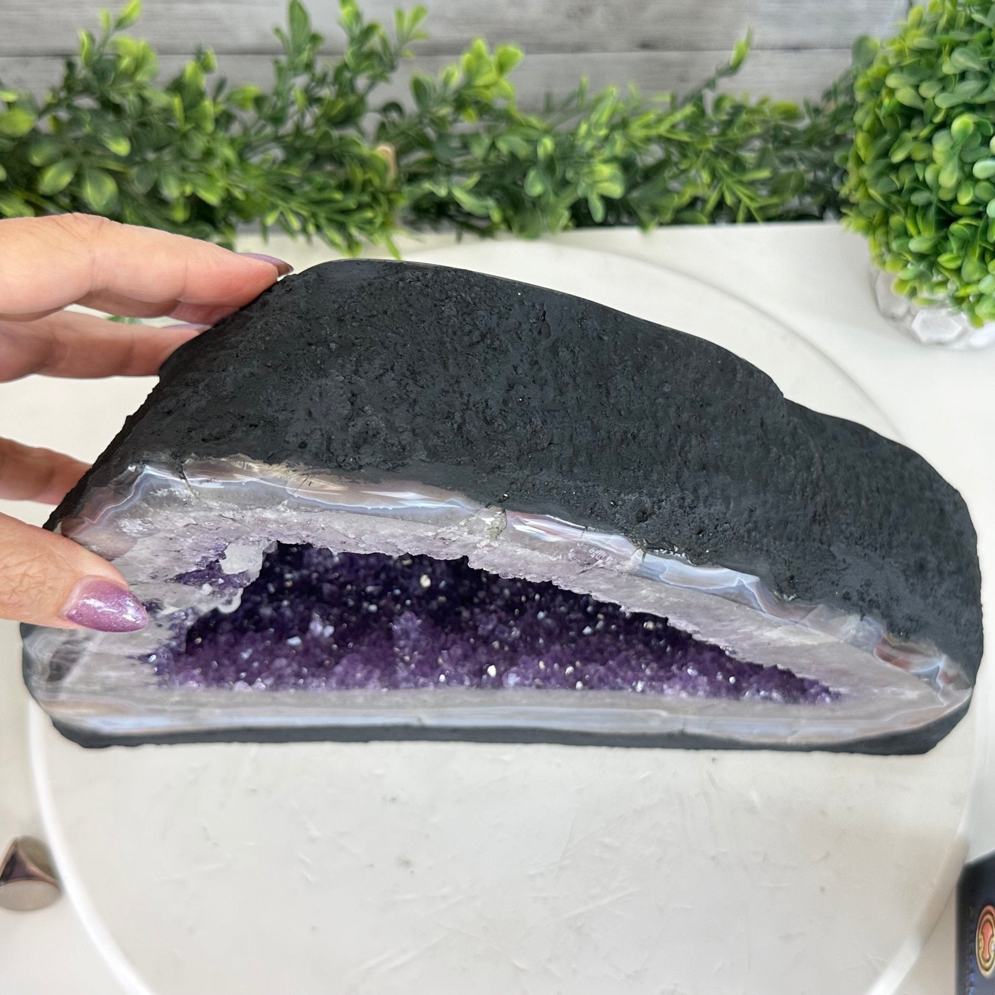 Extra Quality Open 2 - Sided Amethyst Cathedral 18.4 lbs & 9.9" Tall #5605 - 0150 - Brazil GemsBrazil GemsExtra Quality Open 2 - Sided Amethyst Cathedral 18.4 lbs & 9.9" Tall #5605 - 0150Open 2 - Sided Cathedrals5605 - 0150