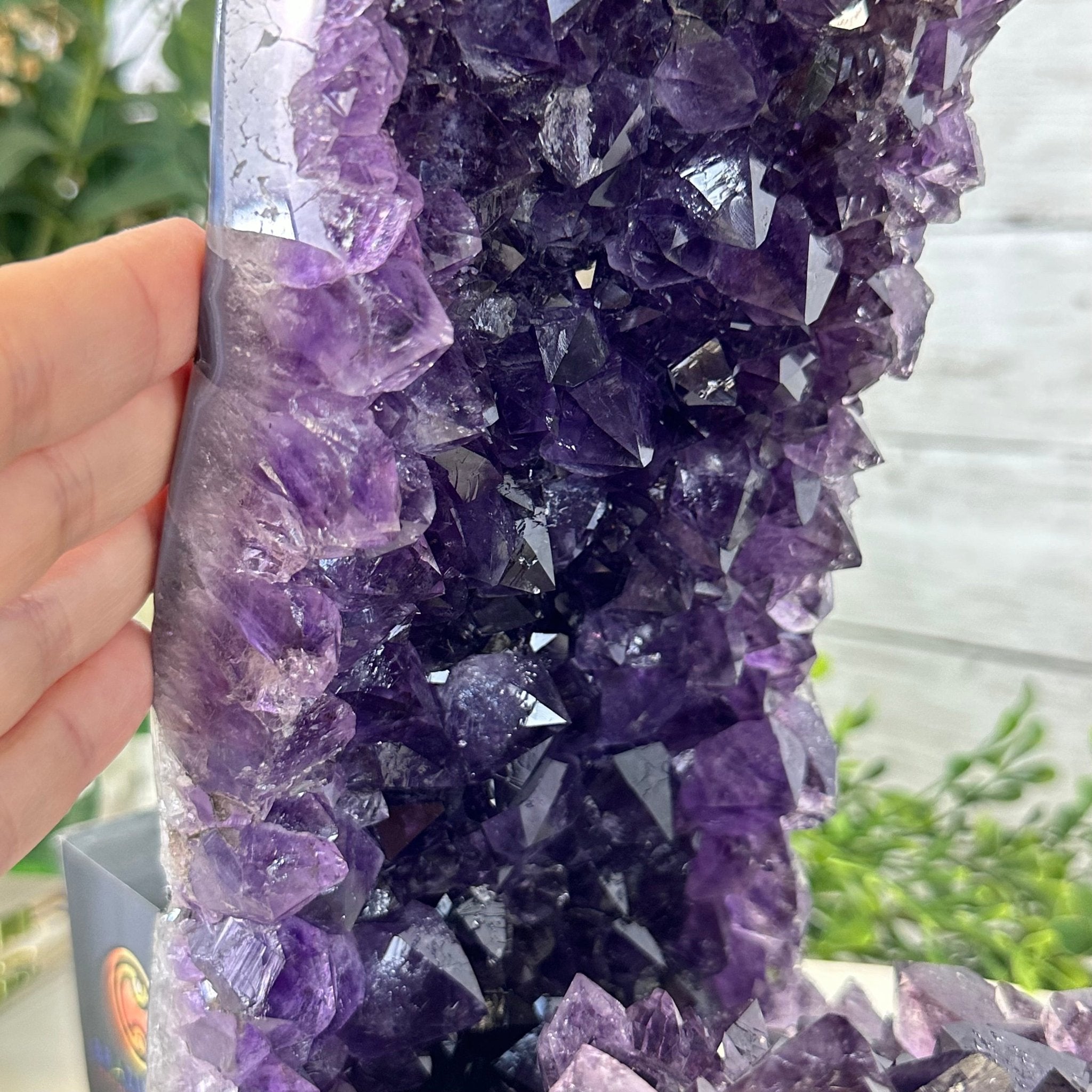 Extra Quality Open 2 - Sided Amethyst Cathedral 19.1 lbs & 13.2"Tall #5605 - 0151 - Brazil GemsBrazil GemsExtra Quality Open 2 - Sided Amethyst Cathedral 19.1 lbs & 13.2"Tall #5605 - 0151Open 2 - Sided Cathedrals5605 - 0151