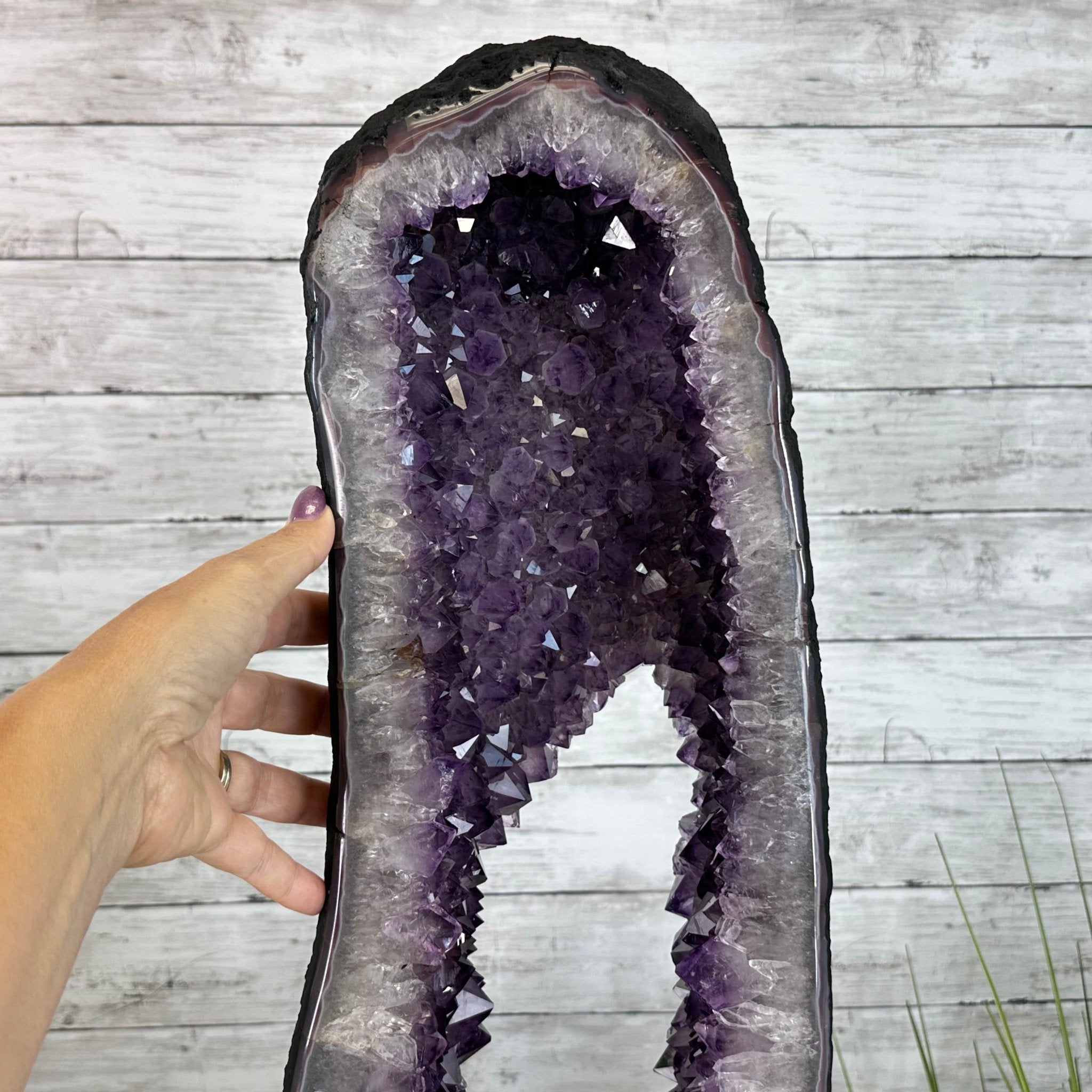 Extra Quality Open 2 - Sided Amethyst Cathedral 46.8 lbs & 25.6" Tall #5605 - 0164 - Brazil GemsBrazil GemsExtra Quality Open 2 - Sided Amethyst Cathedral 46.8 lbs & 25.6" Tall #5605 - 0164Open 2 - Sided Cathedrals5605 - 0164