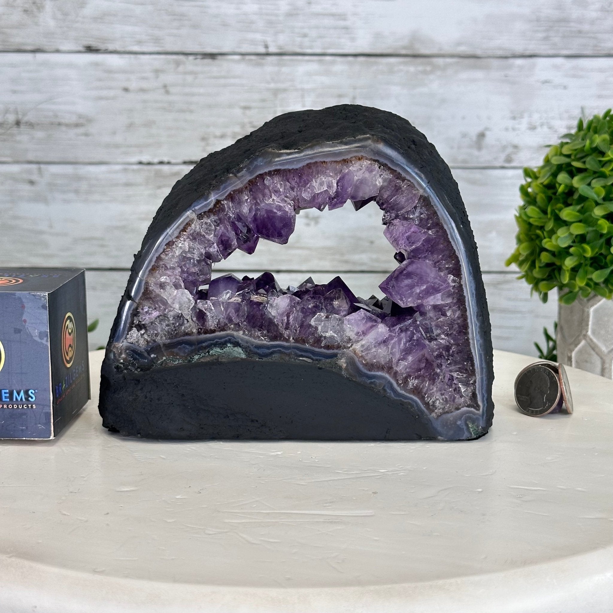 Extra Quality Open 2 - Sided Amethyst Cathedral 5.4 lbs & 5.7" Tall #5605 - 0141 - Brazil GemsBrazil GemsExtra Quality Open 2 - Sided Amethyst Cathedral 5.4 lbs & 5.7" Tall #5605 - 0141Open 2 - Sided Cathedrals5605 - 0141