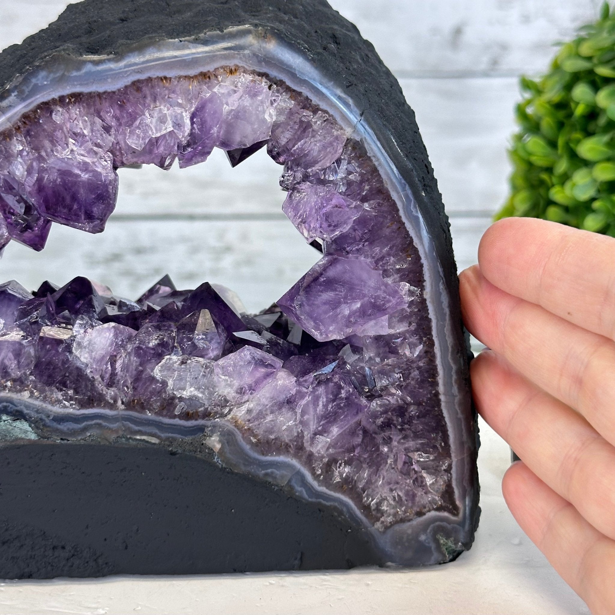 Extra Quality Open 2 - Sided Amethyst Cathedral 5.4 lbs & 5.7" Tall #5605 - 0141 - Brazil GemsBrazil GemsExtra Quality Open 2 - Sided Amethyst Cathedral 5.4 lbs & 5.7" Tall #5605 - 0141Open 2 - Sided Cathedrals5605 - 0141