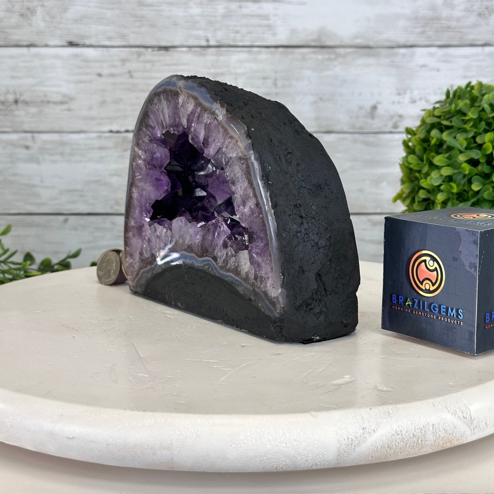 Extra Quality Open 2 - Sided Amethyst Cathedral 5.4 lbs & 5.7" Tall #5605 - 0141 - Brazil GemsBrazil GemsExtra Quality Open 2 - Sided Amethyst Cathedral 5.4 lbs & 5.7" Tall #5605 - 0141Open 2 - Sided Cathedrals5605 - 0141