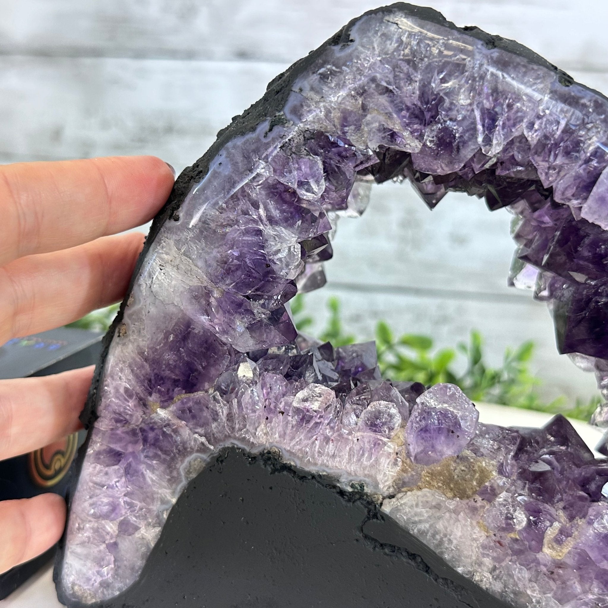 Extra Quality Open 2 - Sided Amethyst Cathedral 6.7 lbs & 6.6" Tall #5605 - 0157 - Brazil GemsBrazil GemsExtra Quality Open 2 - Sided Amethyst Cathedral 6.7 lbs & 6.6" Tall #5605 - 0157Open 2 - Sided Cathedrals5605 - 0157