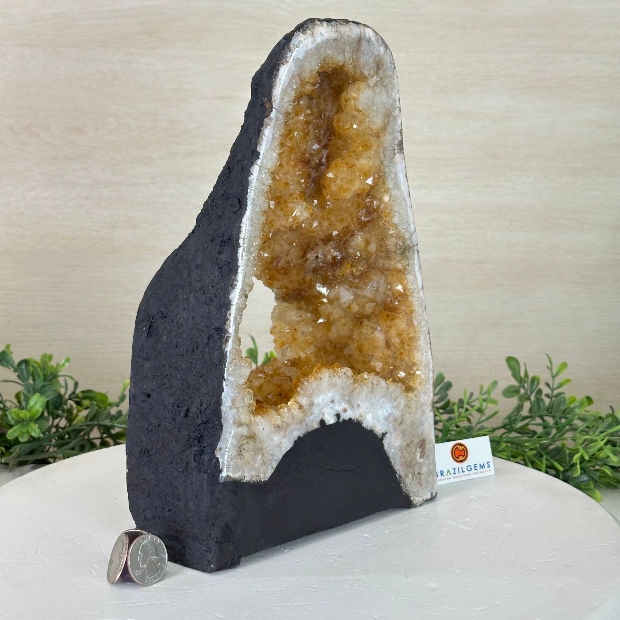 Extra Quality Open 2 - Sided Citrine Cathedral, 8.7 lbs and 10.7" Tall #5608 - 0057 - Brazil GemsBrazil GemsExtra Quality Open 2 - Sided Citrine Cathedral, 8.7 lbs and 10.7" Tall #5608 - 0057Open 2 - Sided Cathedrals5608 - 0057