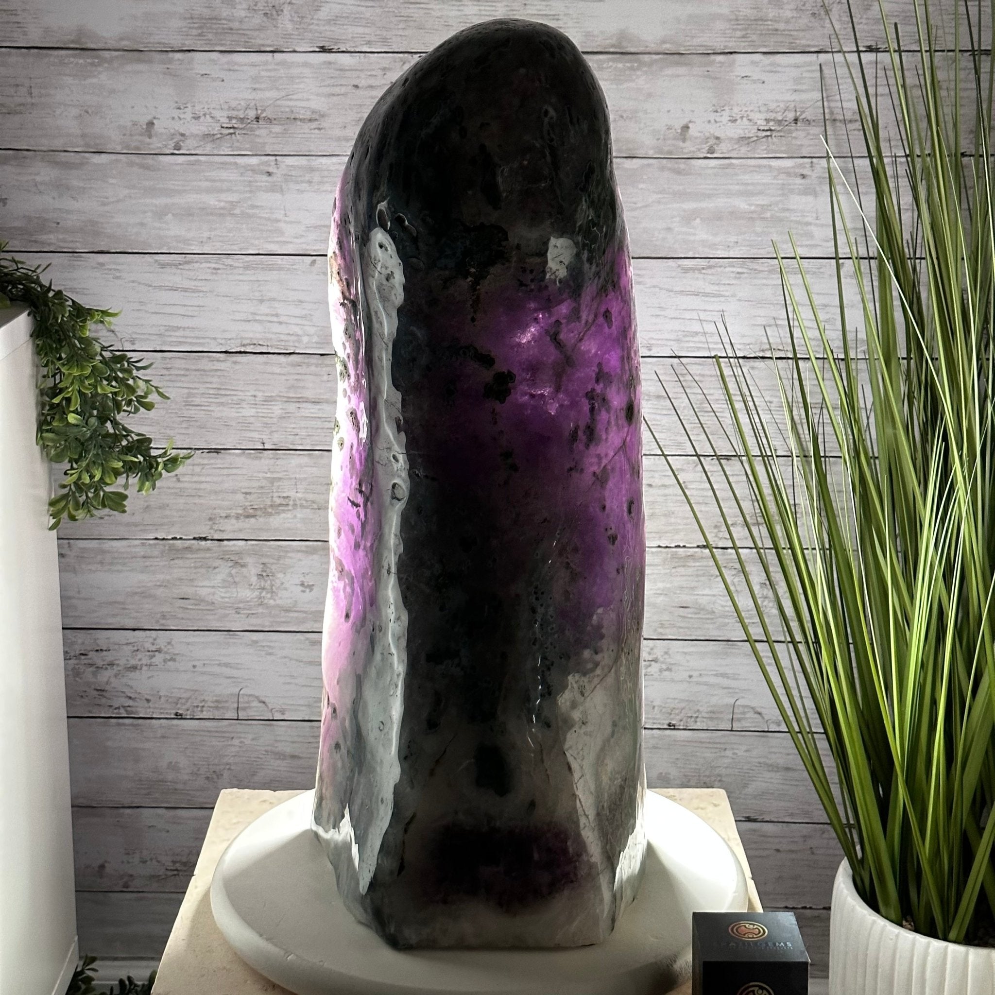 Extra Quality Polished Brazilian Amethyst Cathedral, 83.8 lbs & 23" tall Model #5602-0008 by Brazil Gems - Brazil GemsBrazil GemsExtra Quality Polished Brazilian Amethyst Cathedral, 83.8 lbs & 23" tall Model #5602-0008 by Brazil GemsPolished Cathedrals5602-0008
