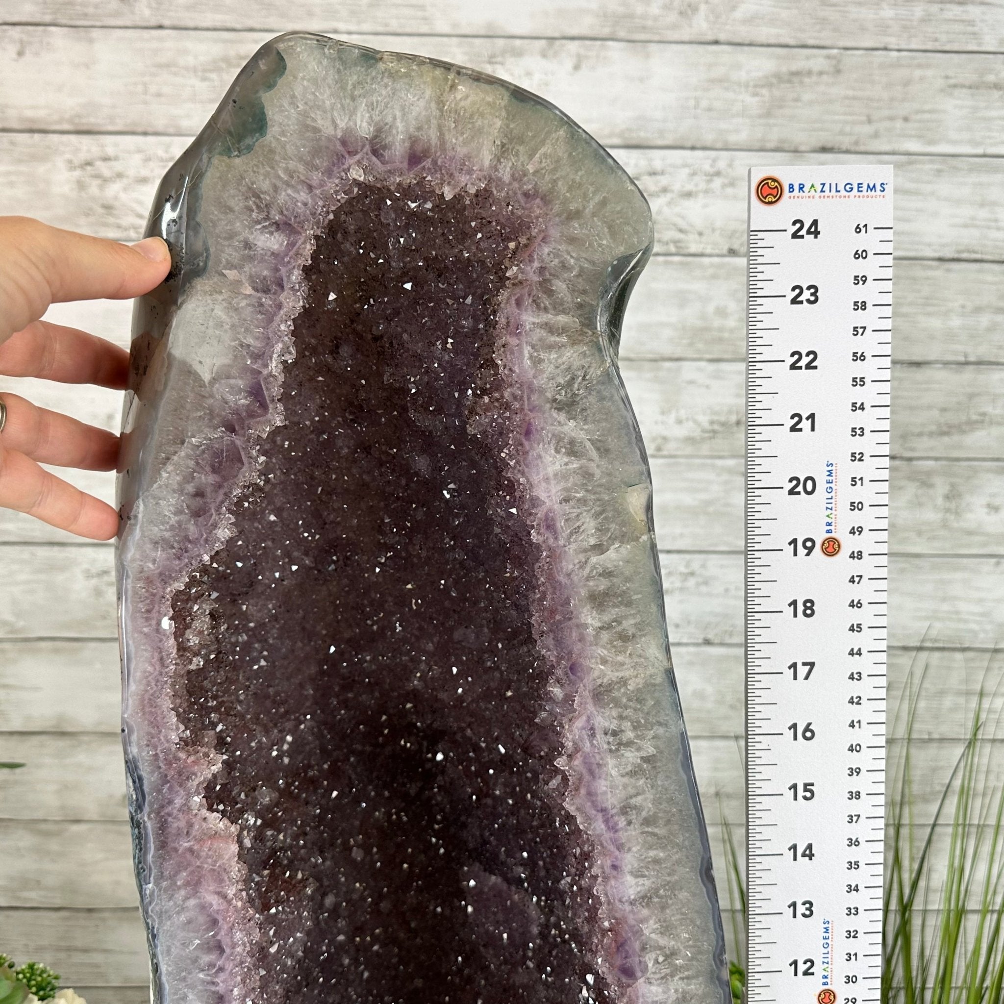 Extra Quality Polished Brazilian Amethyst Cathedral, 84.8 lbs & 26.2" tall Model #5602-0164 by Brazil Gems - Brazil GemsBrazil GemsExtra Quality Polished Brazilian Amethyst Cathedral, 84.8 lbs & 26.2" tall Model #5602-0164 by Brazil GemsPolished Cathedrals5602-0164