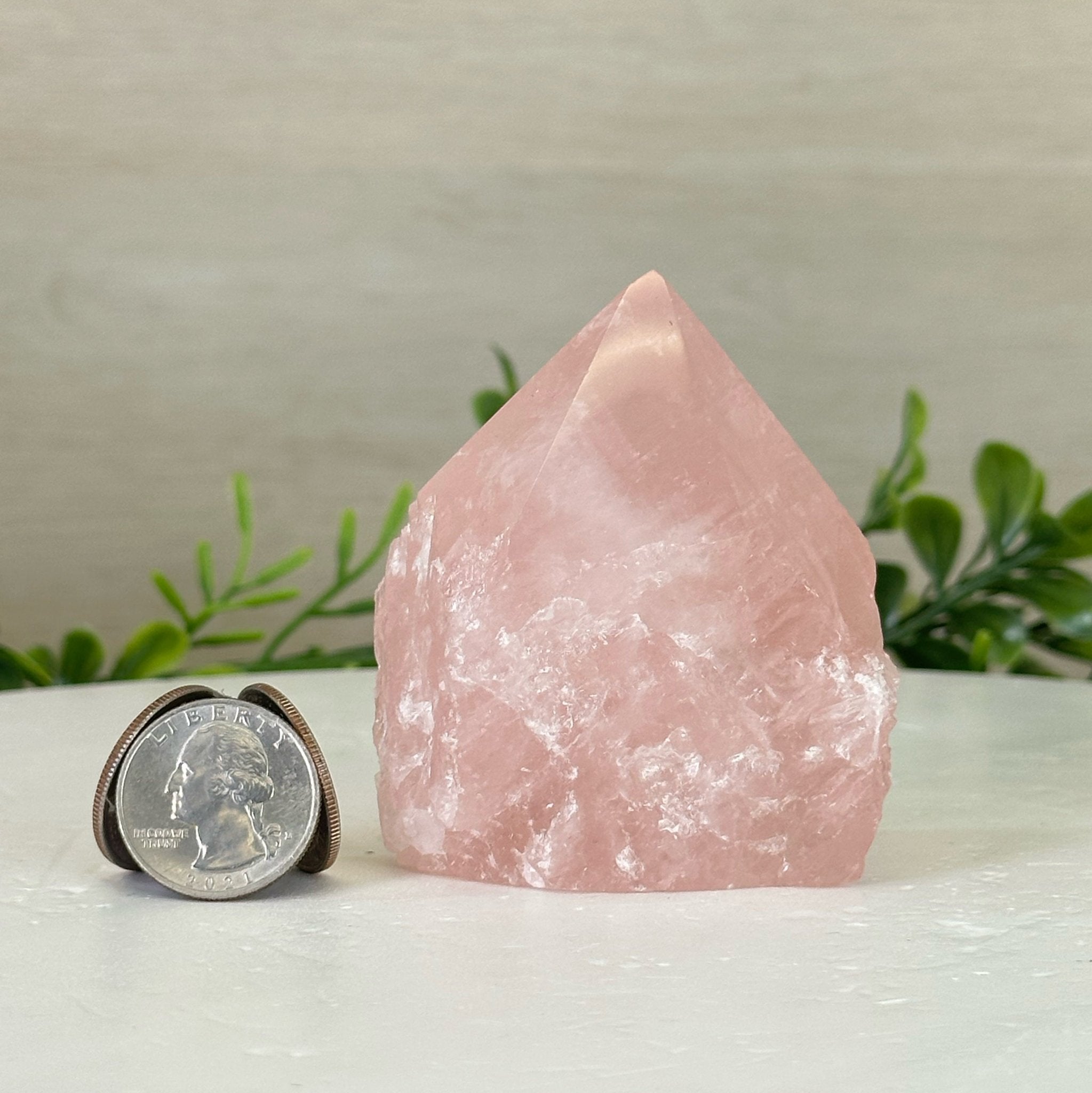 Extra Quality Rose Quartz Crystal Foot & Point #3102RQ - 054 - Brazil GemsBrazil GemsExtra Quality Rose Quartz Crystal Foot & Point #3102RQ - 054Crystal Points3102RQ - 054