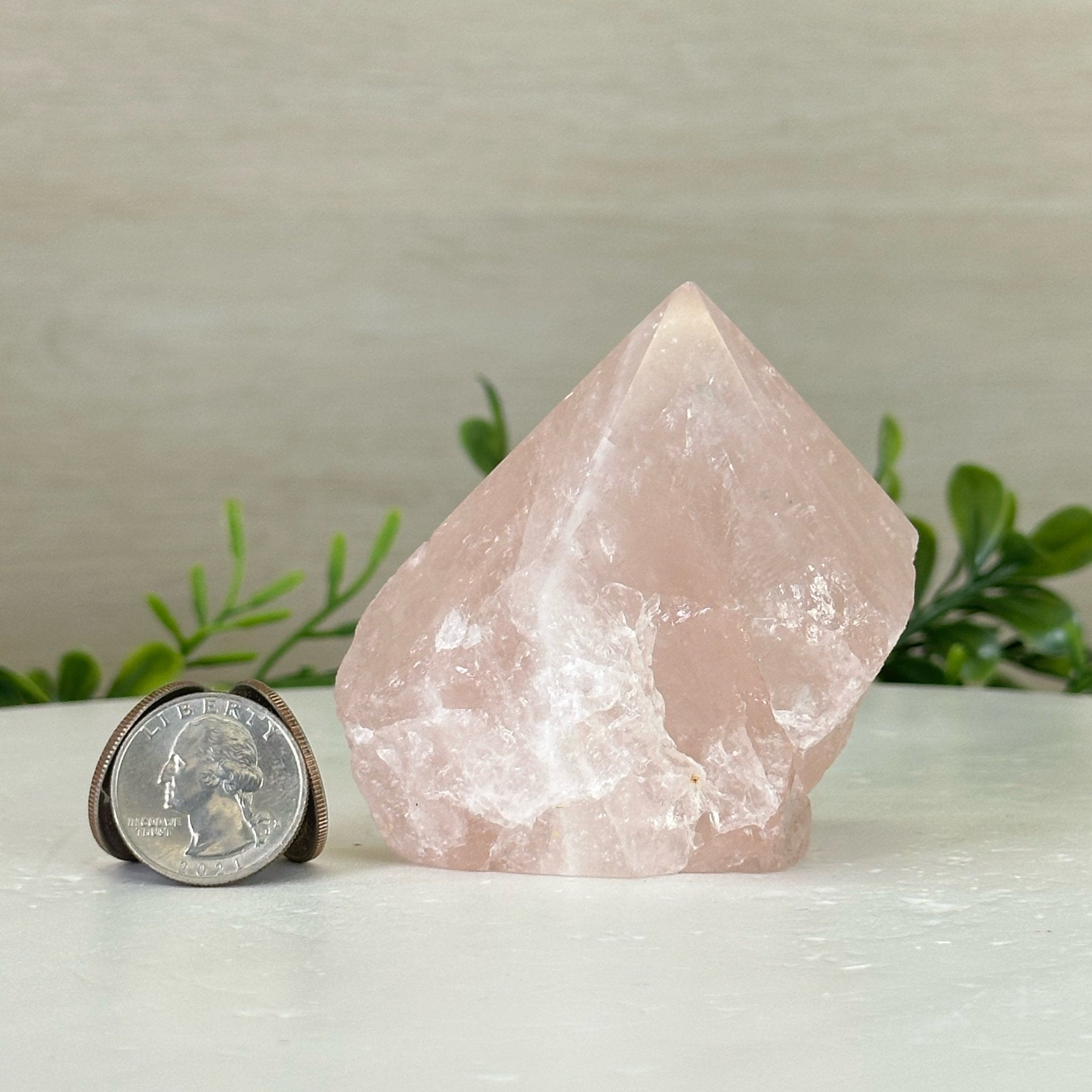 Extra Quality Rose Quartz Crystal Foot & Point #3102RQ - 056 - Brazil GemsBrazil GemsExtra Quality Rose Quartz Crystal Foot & Point #3102RQ - 056Crystal Points3102RQ - 056