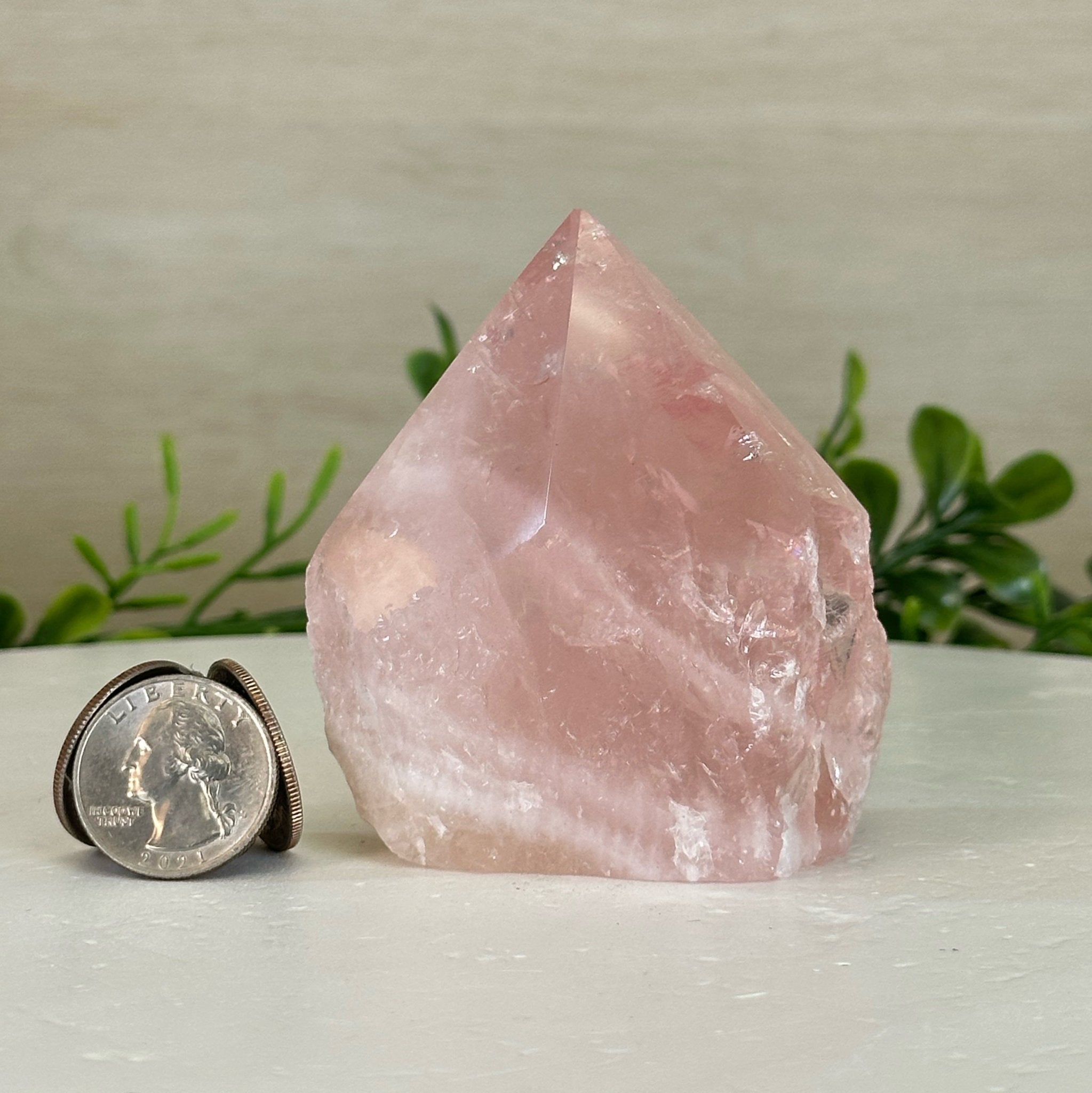 Extra Quality Rose Quartz Crystal Foot & Point #3102RQ - 060 - Brazil GemsBrazil GemsExtra Quality Rose Quartz Crystal Foot & Point #3102RQ - 060Crystal Points3102RQ - 060