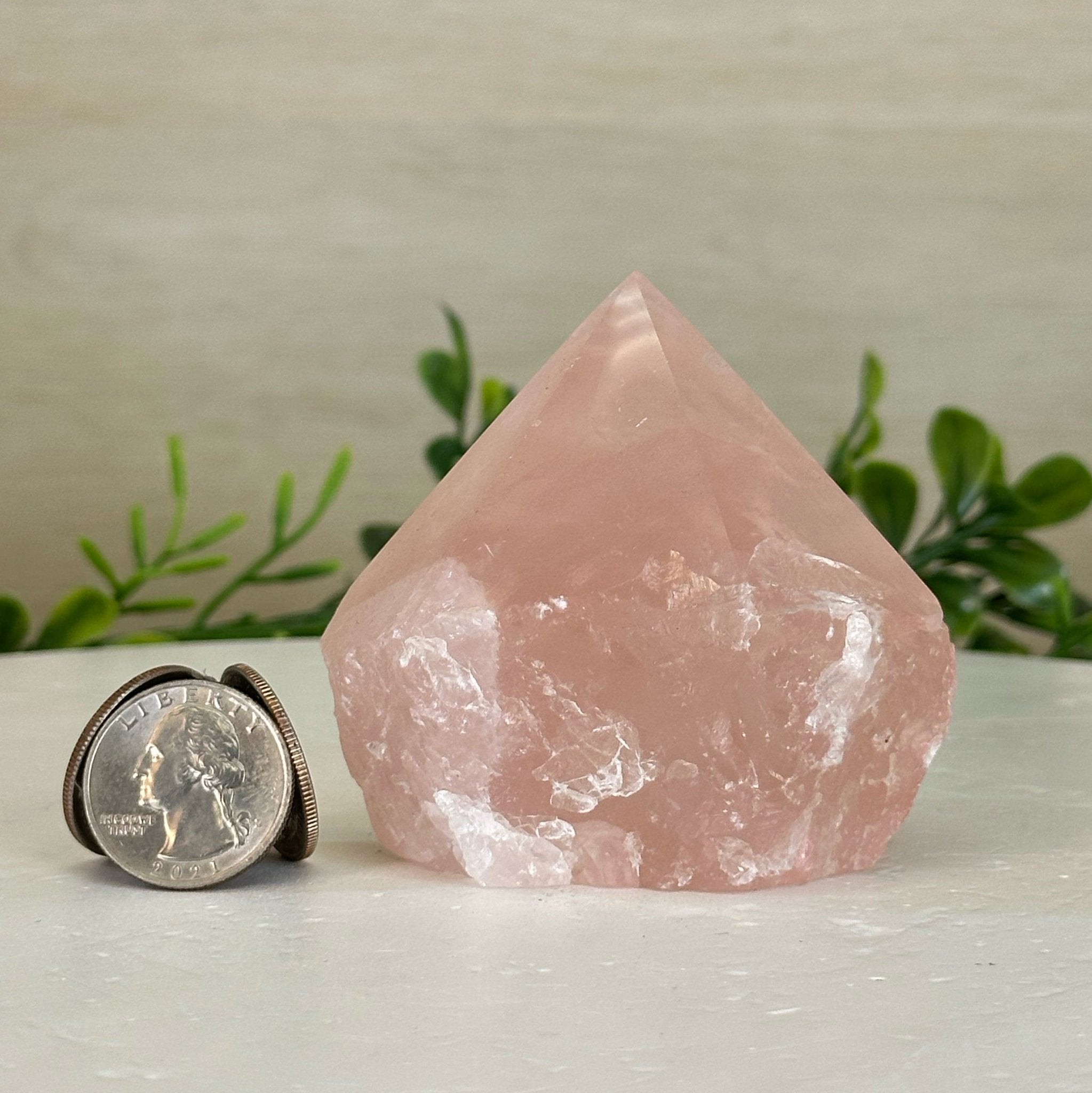 Extra Quality Rose Quartz Crystal Foot & Point #3102RQ - 061 - Brazil GemsBrazil GemsExtra Quality Rose Quartz Crystal Foot & Point #3102RQ - 061Crystal Points3102RQ - 061