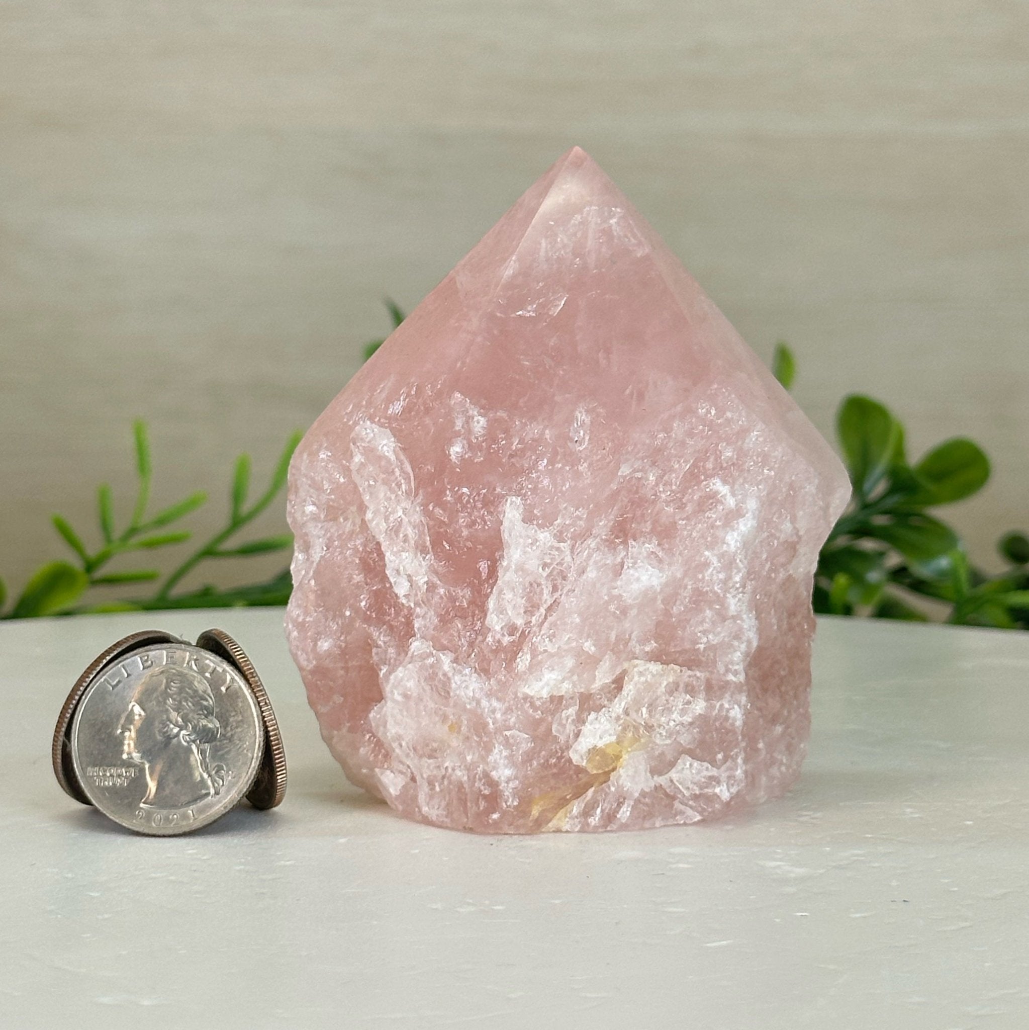 Extra Quality Rose Quartz Crystal Foot & Point #3102RQ - 062 - Brazil GemsBrazil GemsExtra Quality Rose Quartz Crystal Foot & Point #3102RQ - 062Crystal Points3102RQ - 062