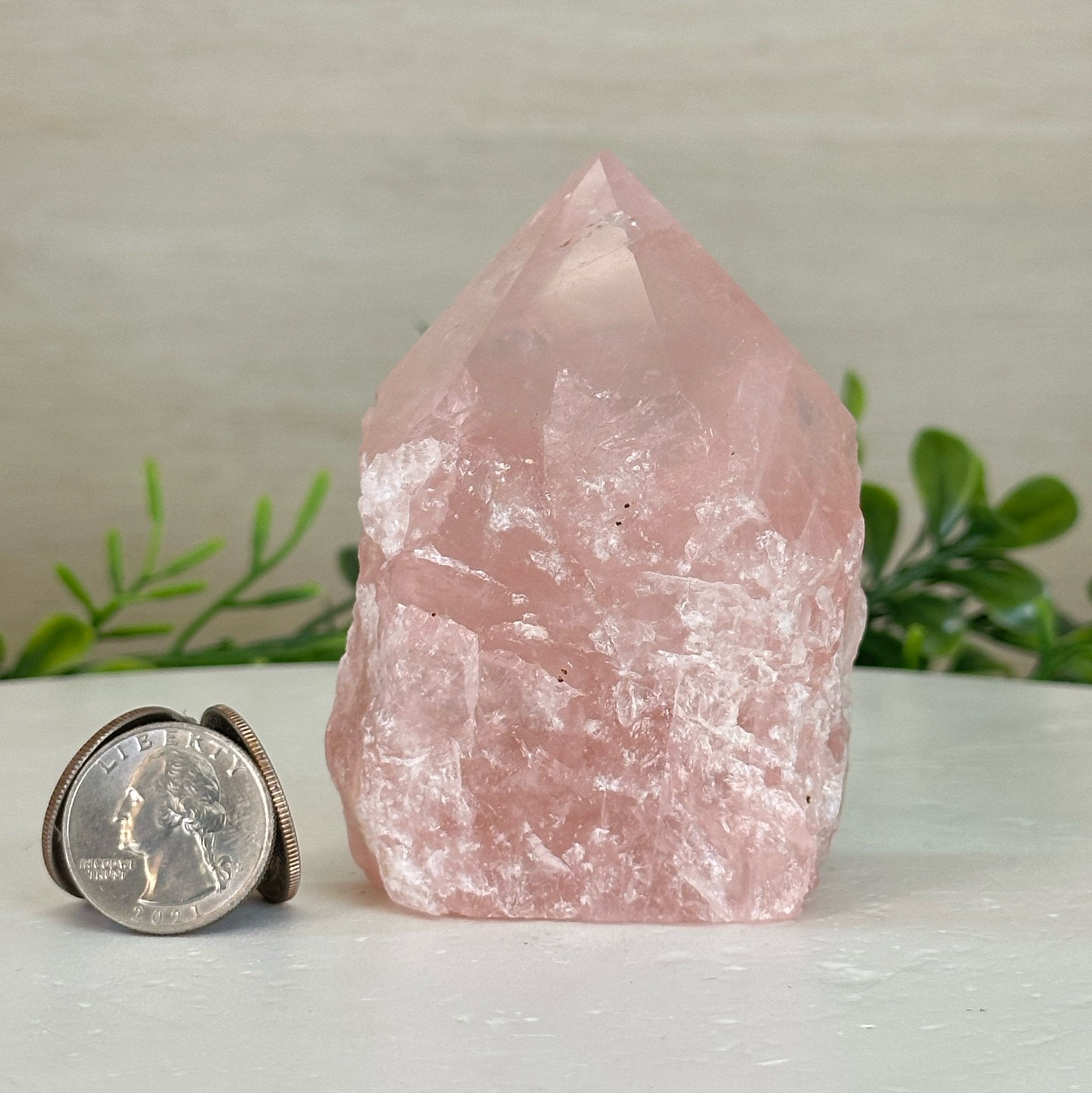 Extra Quality Rose Quartz Crystal Foot & Point #3102RQ - 063 - Brazil GemsBrazil GemsExtra Quality Rose Quartz Crystal Foot & Point #3102RQ - 063Crystal Points3102RQ - 063