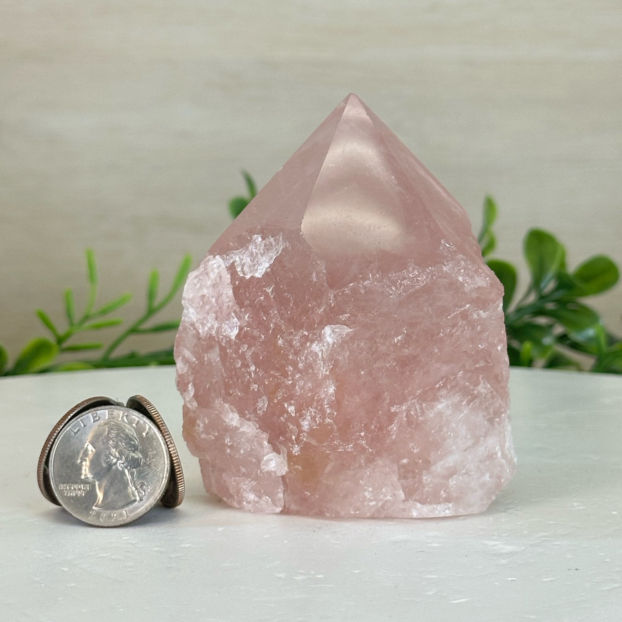 Extra Quality Rose Quartz Crystal Foot & Point #3102RQ - 066 - Brazil GemsBrazil GemsExtra Quality Rose Quartz Crystal Foot & Point #3102RQ - 066Crystal Points3102RQ - 066