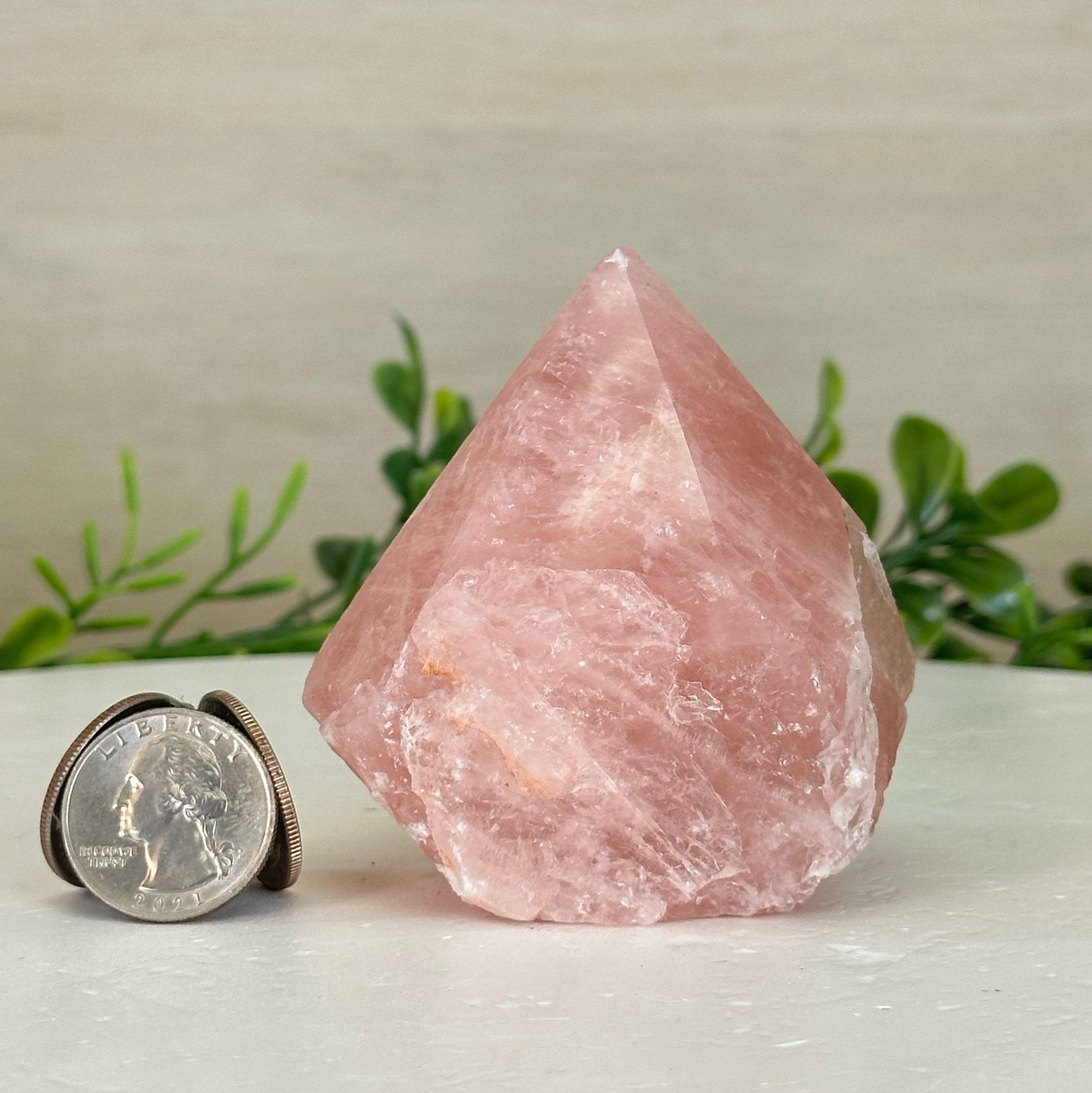 Extra Quality Rose Quartz Crystal Foot & Point #3102RQ - 067 - Brazil GemsBrazil GemsExtra Quality Rose Quartz Crystal Foot & Point #3102RQ - 067Crystal Points3102RQ - 067