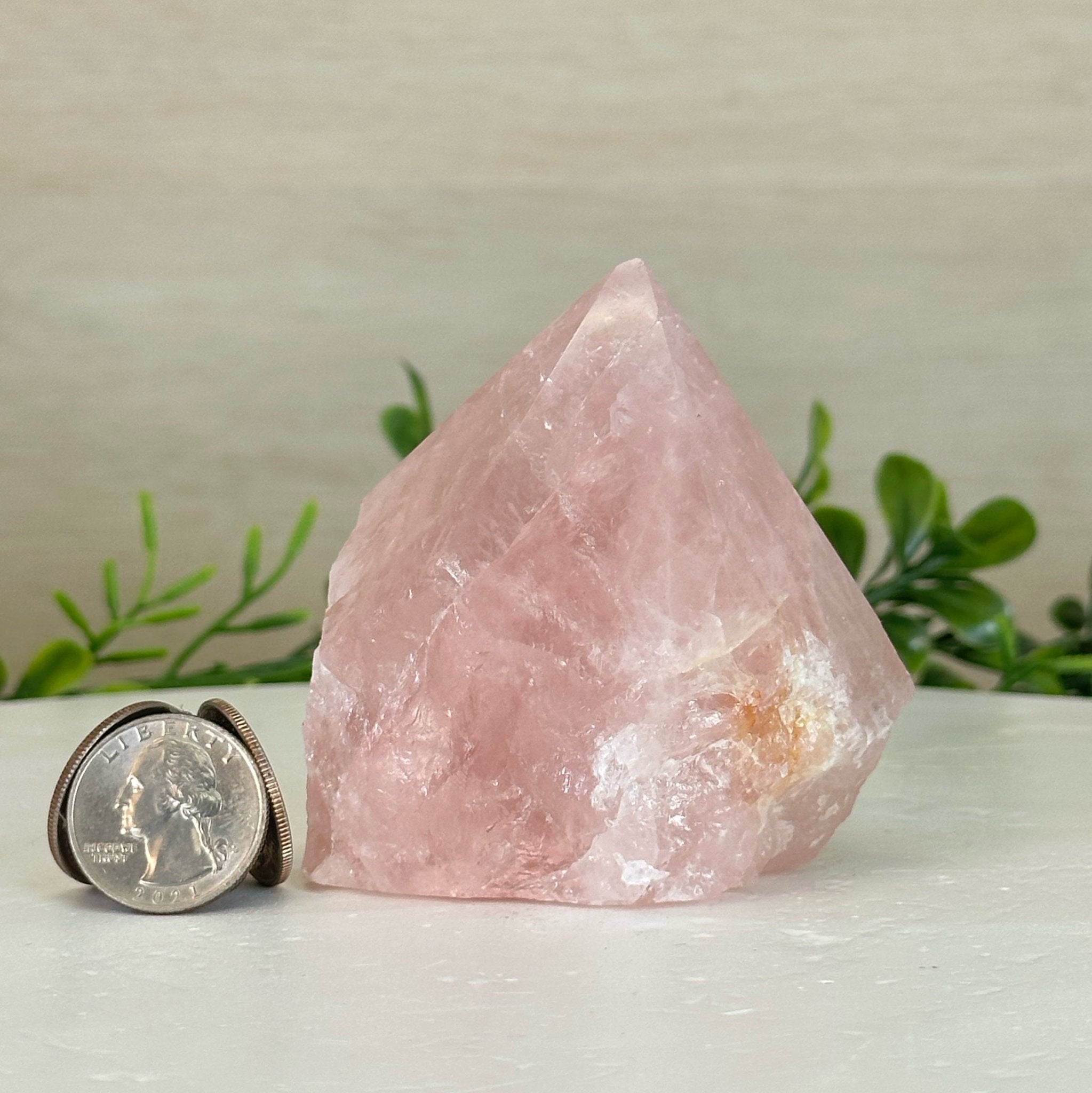 Extra Quality Rose Quartz Crystal Foot & Point #3102RQ - 069 - Brazil GemsBrazil GemsExtra Quality Rose Quartz Crystal Foot & Point #3102RQ - 069Crystal Points3102RQ - 069