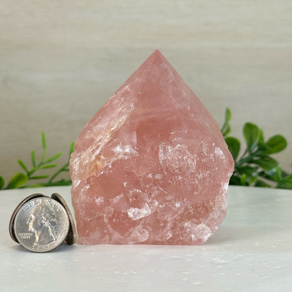 Rose Quartz Points