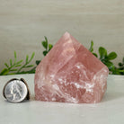 Extra Quality Rose Quartz Crystal Foot & Point #3102RQ - 073 - Brazil GemsBrazil GemsExtra Quality Rose Quartz Crystal Foot & Point #3102RQ - 073Crystal Points3102RQ - 073