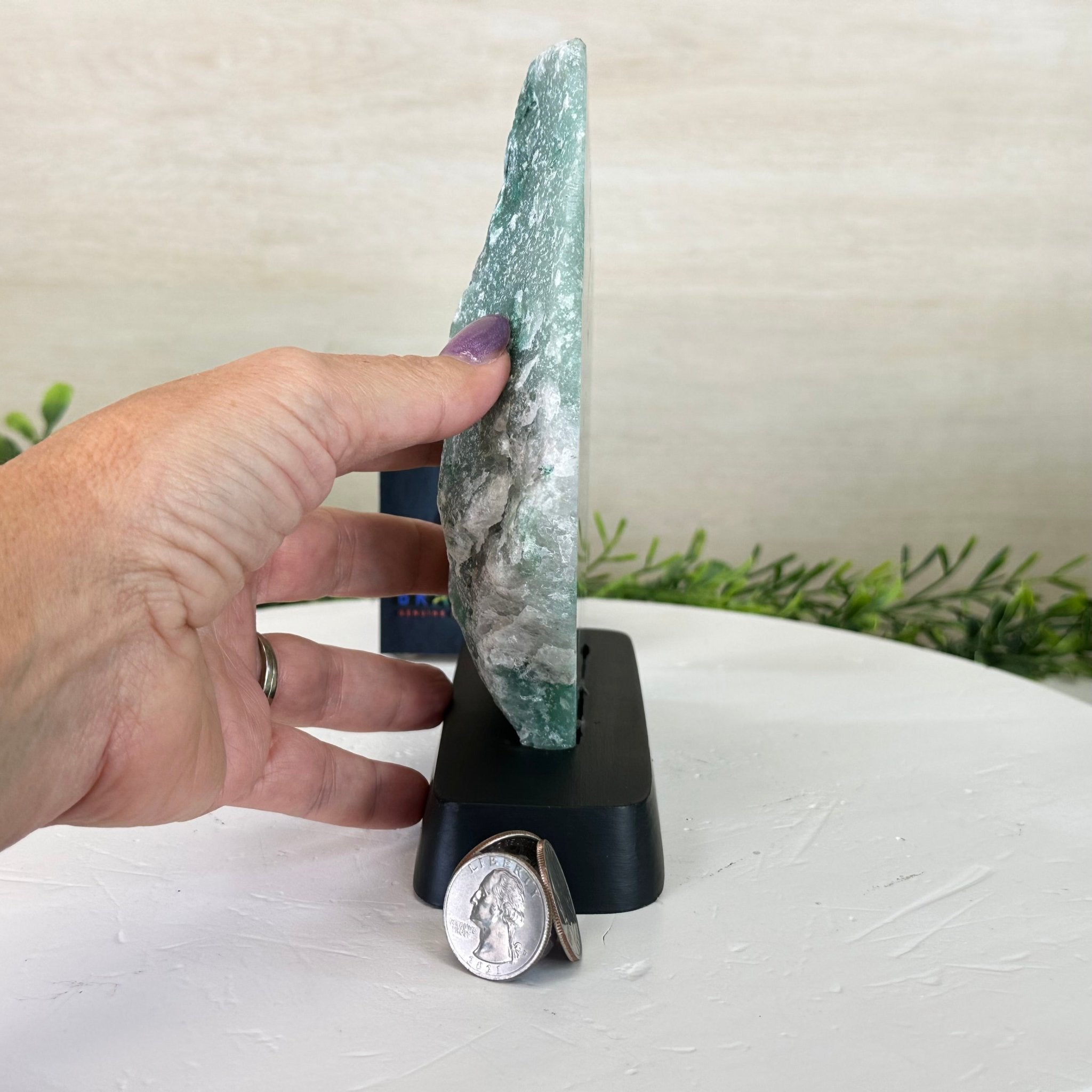 Green Quartz Polished Slice with Rough Edges, Wood Base 7.5" Tall #6100GQ - 007 - Brazil GemsBrazil GemsGreen Quartz Polished Slice with Rough Edges, Wood Base 7.5" Tall #6100GQ - 007Slices on Wood Bases6100GQ - 007