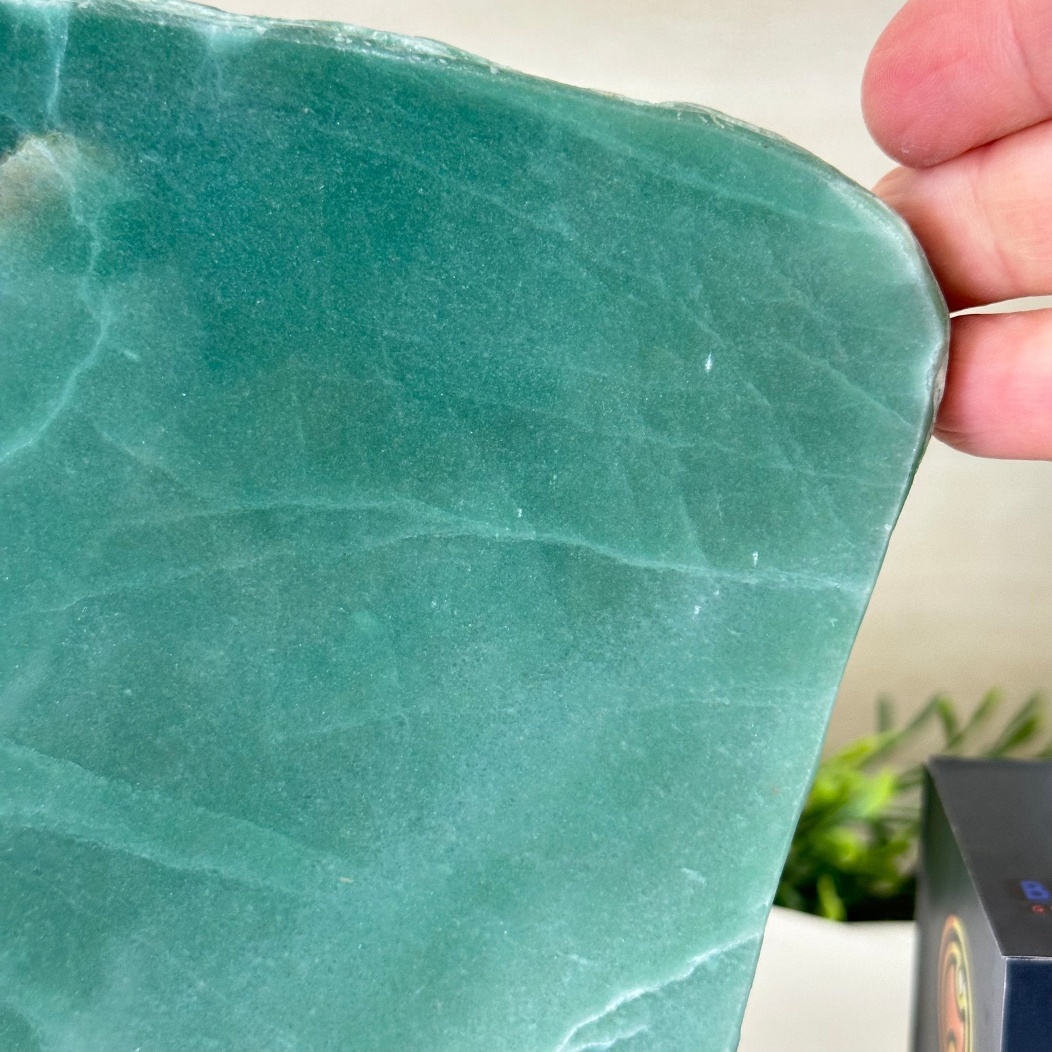 Green Quartz Polished Slice with Rough Edges, Wood Base 7.5" Tall #6100GQ - 021 - Brazil GemsBrazil GemsGreen Quartz Polished Slice with Rough Edges, Wood Base 7.5" Tall #6100GQ - 021Slices on Wood Bases6100GQ - 021