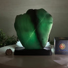 Green Quartz Polished Slice with Rough Edges, Wood Base 8" Tall #6100GQ - 022 - Brazil GemsBrazil GemsGreen Quartz Polished Slice with Rough Edges, Wood Base 8" Tall #6100GQ - 022Slices on Wood Bases6100GQ - 022