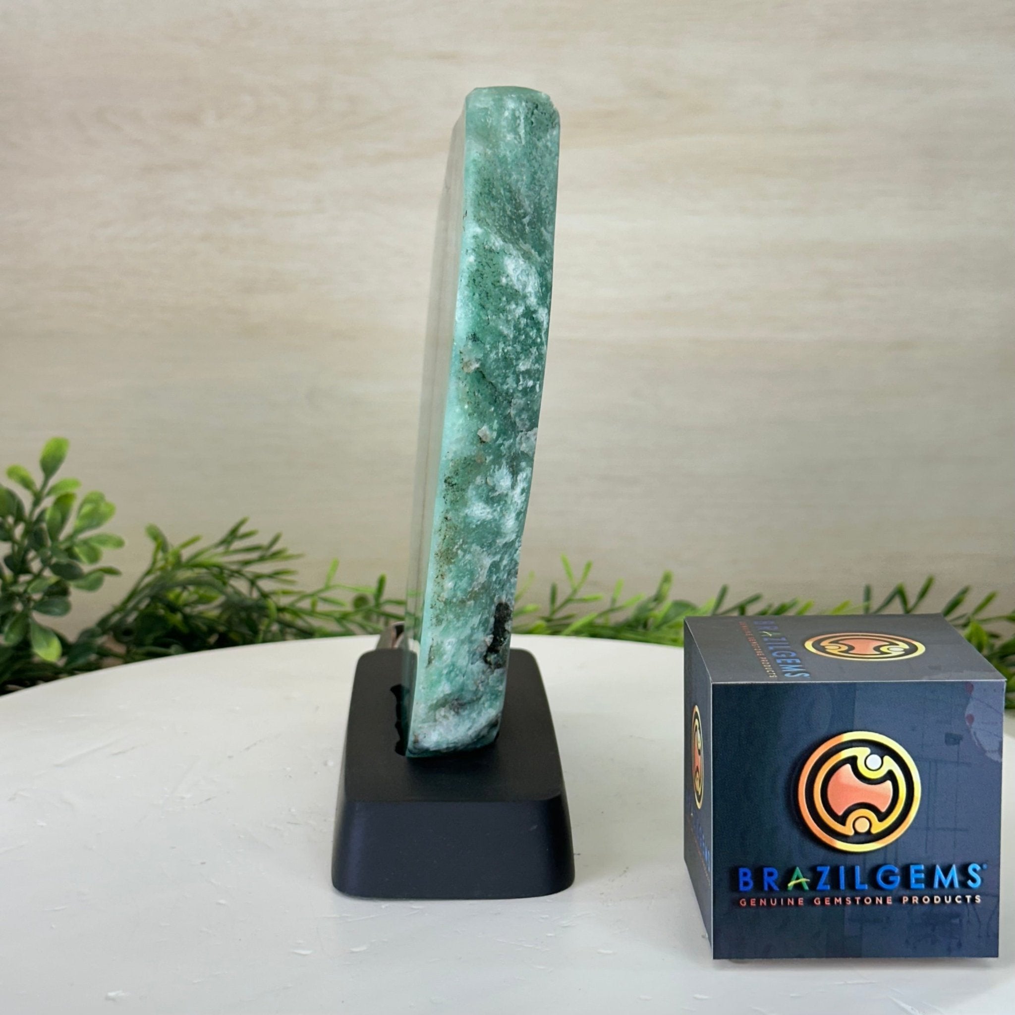 Green Quartz Polished Slice with Rough Edges, Wood Base 8" Tall #6100GQ - 022 - Brazil GemsBrazil GemsGreen Quartz Polished Slice with Rough Edges, Wood Base 8" Tall #6100GQ - 022Slices on Wood Bases6100GQ - 022