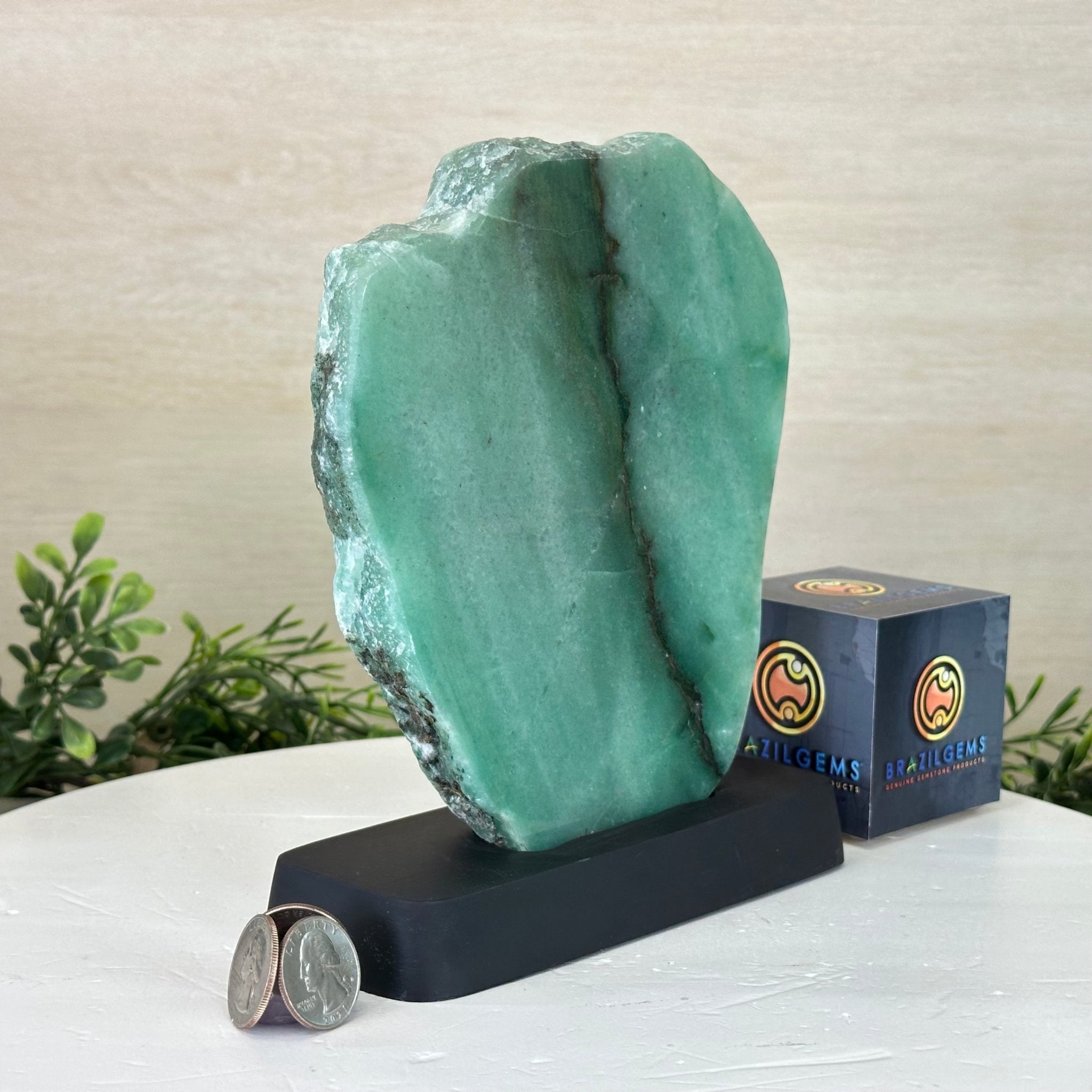 Green Quartz Polished Slice with Rough Edges, Wood Base 8" Tall #6100GQ - 022 - Brazil GemsBrazil GemsGreen Quartz Polished Slice with Rough Edges, Wood Base 8" Tall #6100GQ - 022Slices on Wood Bases6100GQ - 022