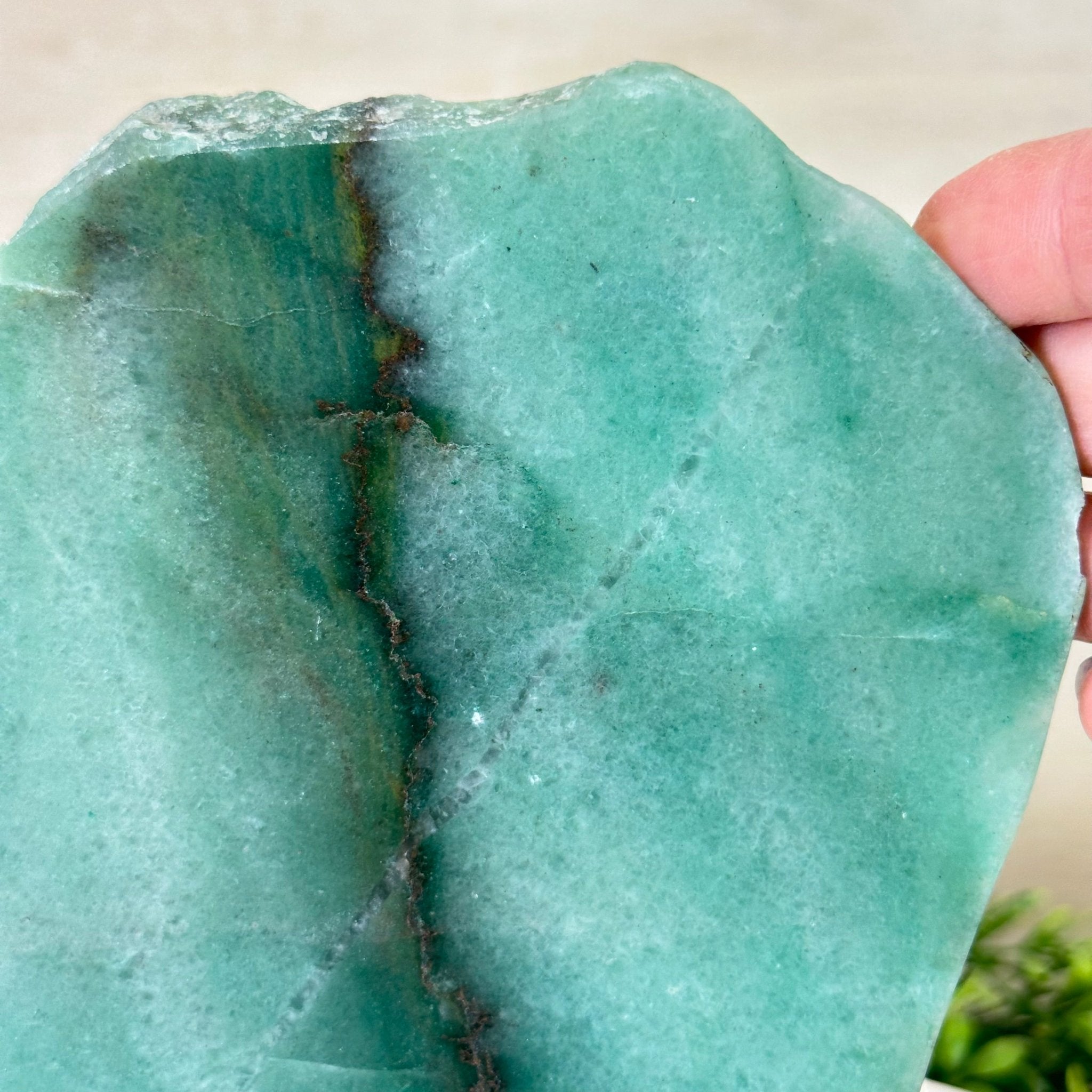 Green Quartz Polished Slice with Rough Edges, Wood Base 8" Tall #6100GQ - 022 - Brazil GemsBrazil GemsGreen Quartz Polished Slice with Rough Edges, Wood Base 8" Tall #6100GQ - 022Slices on Wood Bases6100GQ - 022