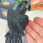Hand-Carved Black Onyx Toucan Bird 12" Long on an Amethyst Base, #3004-BOTAM-052 - Brazil GemsBrazil GemsHand-Carved Black Onyx Toucan Bird 12" Long on an Amethyst Base, #3004-BOTAM-052Crystal Birds3004-BOTAM-052