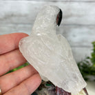 Hand-Carved Clear Quartz Parrot Bird 7.5" Long on an Amethyst Base, #3004-CQPAM-018 - Brazil GemsBrazil GemsHand-Carved Clear Quartz Parrot Bird 7.5" Long on an Amethyst Base, #3004-CQPAM-018Crystal Birds3004-CQPAM-018