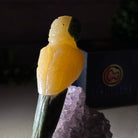 Hand-Carved Crystal Bird, Yellow Calcite Parrot, Amethyst Base, 4.6" Tall #3001-YCPAM-030 - Brazil GemsBrazil GemsHand-Carved Crystal Bird, Yellow Calcite Parrot, Amethyst Base, 4.6" Tall #3001-YCPAM-030Crystal Birds3001-YCPAM-030