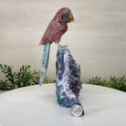 Hand - Carved Fire Quartz Parrot on an Amethyst Base, 8.8" Tall #3004 - FQPAM - 021 - Brazil GemsBrazil GemsHand - Carved Fire Quartz Parrot on an Amethyst Base, 8.8" Tall #3004 - FQPAM - 021Crystal Birds3004 - FQPAM - 021