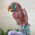 Hand - Carved Fire Quartz Parrot on an Amethyst Base, 8.8" Tall #3004 - FQPAM - 021 - Brazil GemsBrazil GemsHand - Carved Fire Quartz Parrot on an Amethyst Base, 8.8" Tall #3004 - FQPAM - 021Crystal Birds3004 - FQPAM - 021