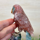 Hand - Carved Fire Quartz Parrot on an Amethyst Base, 8.8" Tall #3004 - FQPAM - 021 - Brazil GemsBrazil GemsHand - Carved Fire Quartz Parrot on an Amethyst Base, 8.8" Tall #3004 - FQPAM - 021Crystal Birds3004 - FQPAM - 021