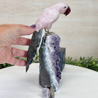 Hand - Carved Rose Quartz Parrot on an Amethyst Base, 8.3" Tall #3004 - RQPAM - 022 - Brazil GemsBrazil GemsHand - Carved Rose Quartz Parrot on an Amethyst Base, 8.3" Tall #3004 - RQPAM - 022Crystal Birds3004 - RQPAM - 022