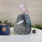 Hand - Carved Rose Quartz Parrot on an Amethyst Base, 8.3" Tall #3004 - RQPAM - 022 - Brazil GemsBrazil GemsHand - Carved Rose Quartz Parrot on an Amethyst Base, 8.3" Tall #3004 - RQPAM - 022Crystal Birds3004 - RQPAM - 022