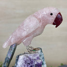 Hand - Carved Rose Quartz Parrot on an Amethyst Base, 8.3" Tall #3004 - RQPAM - 022 - Brazil GemsBrazil GemsHand - Carved Rose Quartz Parrot on an Amethyst Base, 8.3" Tall #3004 - RQPAM - 022Crystal Birds3004 - RQPAM - 022