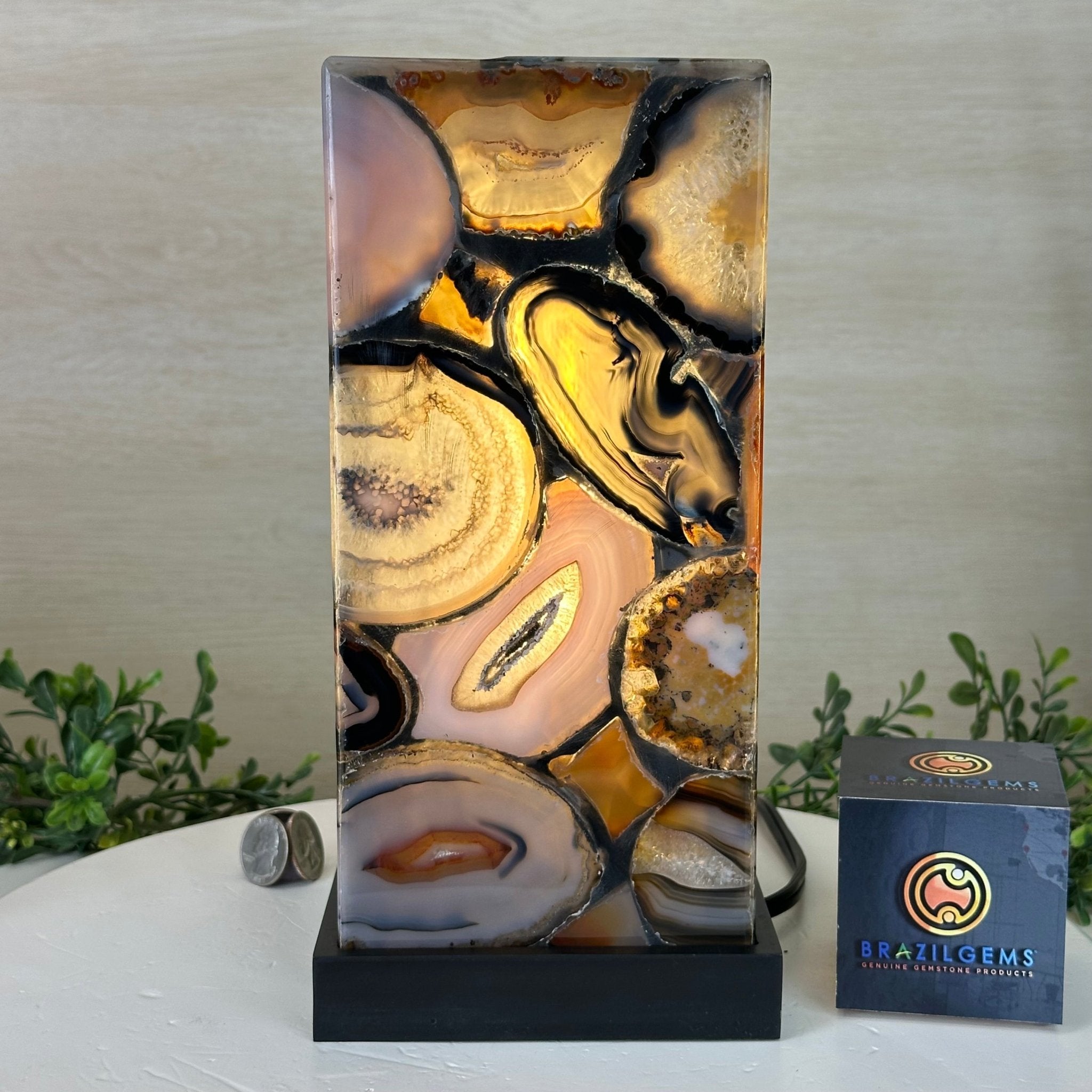 Handmade Natural Agate LED Lamp w/ Wood base, 10.6” Tall #2003NA - 006 - Brazil GemsBrazil GemsHandmade Natural Agate LED Lamp w/ Wood base, 10.6” Tall #2003NA - 006Lamps2003NA - 006