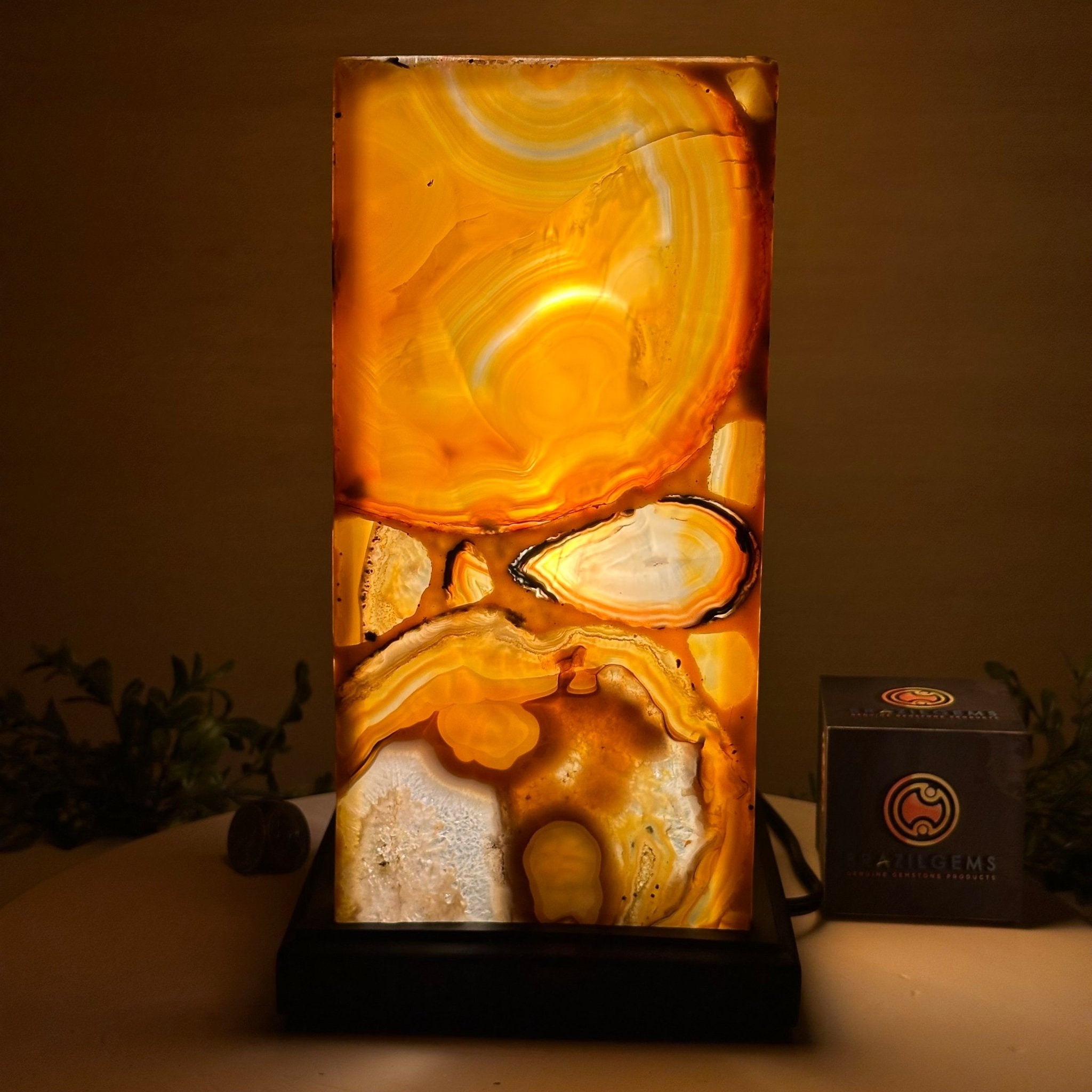 Handmade Natural Agate LED Lamp w/ Wood base, 10.9” Tall #2003NA - 008 - Brazil GemsBrazil GemsHandmade Natural Agate LED Lamp w/ Wood base, 10.9” Tall #2003NA - 008Lamps2003NA - 008