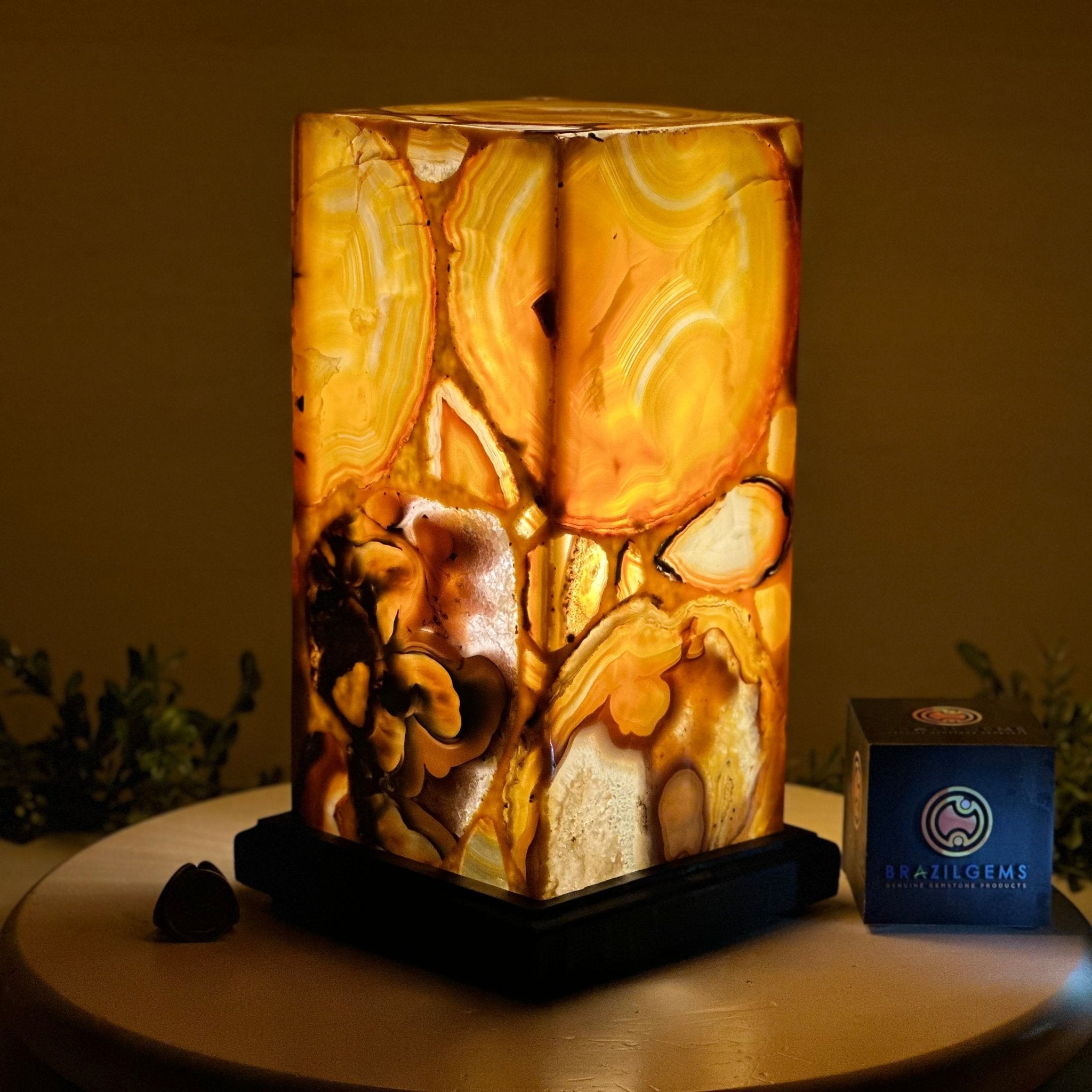 Handmade Natural Agate LED Lamp w/ Wood base, 10.9” Tall #2003NA - 008 - Brazil GemsBrazil GemsHandmade Natural Agate LED Lamp w/ Wood base, 10.9” Tall #2003NA - 008Lamps2003NA - 008