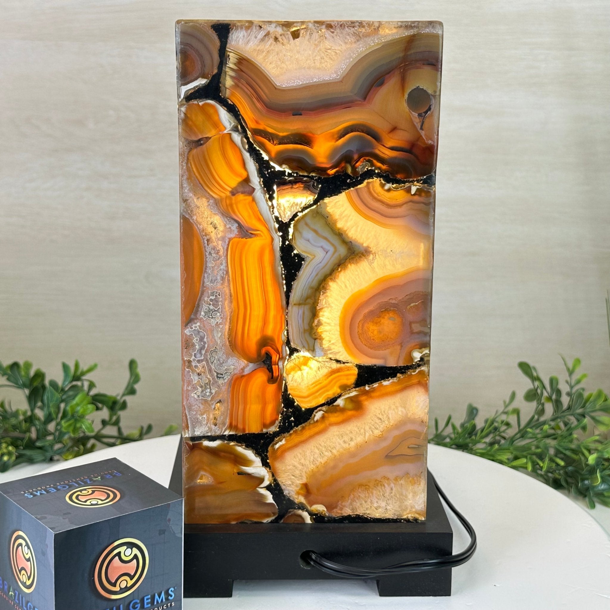 Handmade Natural Agate LED Lamp w/ Wood Base, 10.9” Tall #2003NA - 010 - Brazil GemsBrazil GemsHandmade Natural Agate LED Lamp w/ Wood Base, 10.9” Tall #2003NA - 010Lamps2003NA - 010