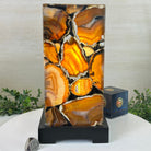 Handmade Natural Agate LED Lamp w/ Wood Base, 10.9” Tall #2003NA - 010 - Brazil GemsBrazil GemsHandmade Natural Agate LED Lamp w/ Wood Base, 10.9” Tall #2003NA - 010Lamps2003NA - 010