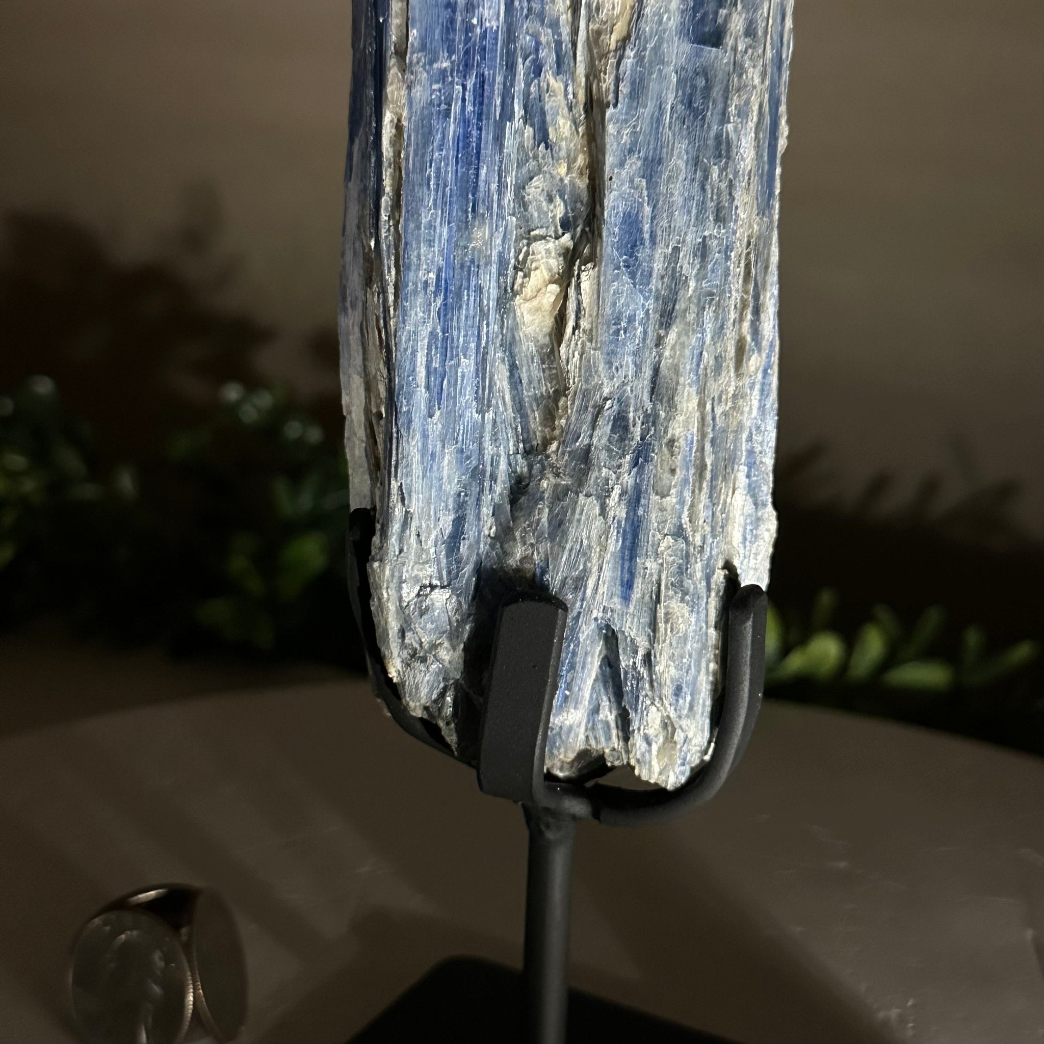 Kyanite Crystal on Metal Stand, 1.8 lbs & 10.1" Tall #6010 - 0004 - Brazil GemsBrazil GemsKyanite Crystal on Metal Stand, 1.8 lbs & 10.1" Tall #6010 - 0004Clusters on Fixed Bases6010 - 0004