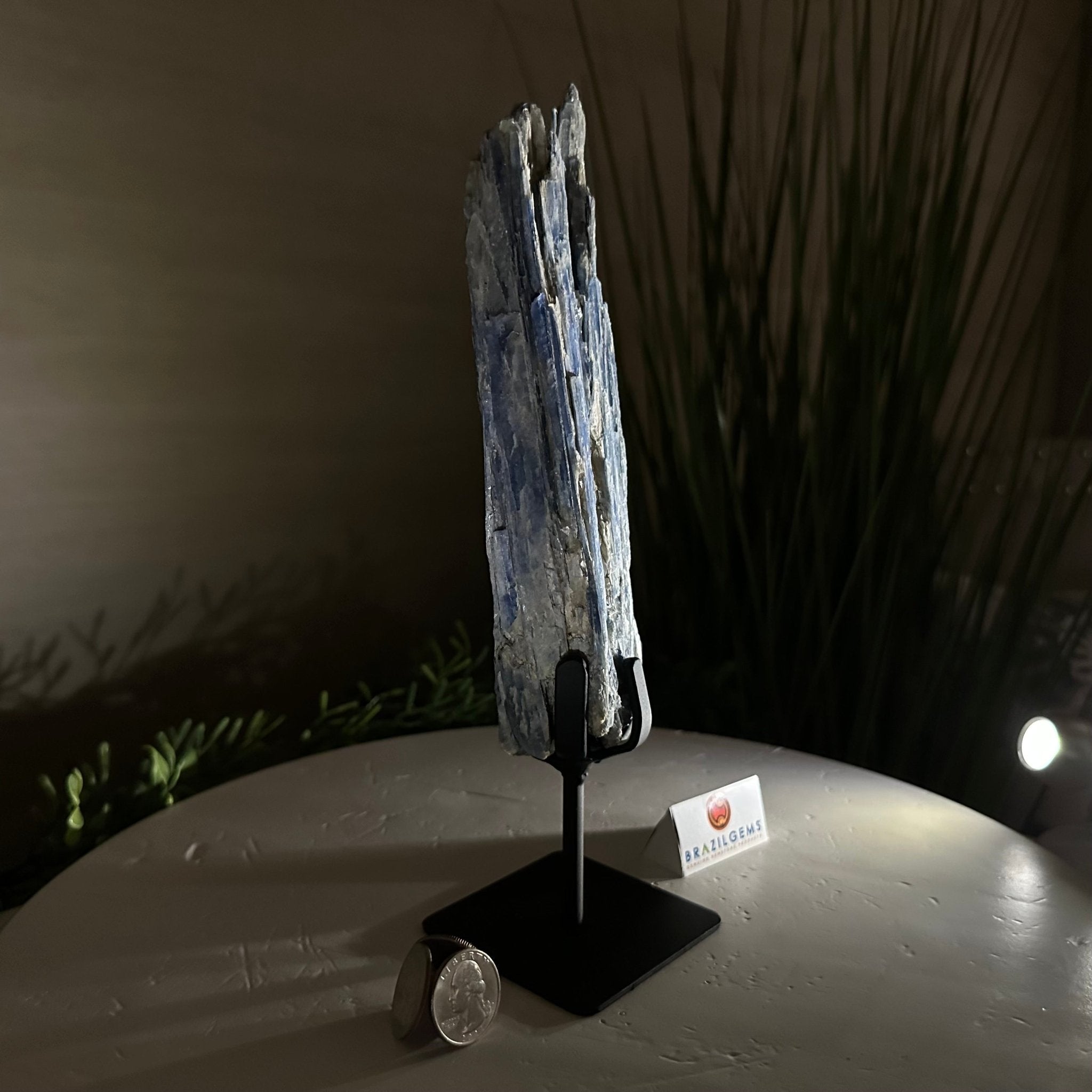 Kyanite Crystal on Metal Stand, 1.8 lbs & 10.1" Tall #6010 - 0004 - Brazil GemsBrazil GemsKyanite Crystal on Metal Stand, 1.8 lbs & 10.1" Tall #6010 - 0004Clusters on Fixed Bases6010 - 0004