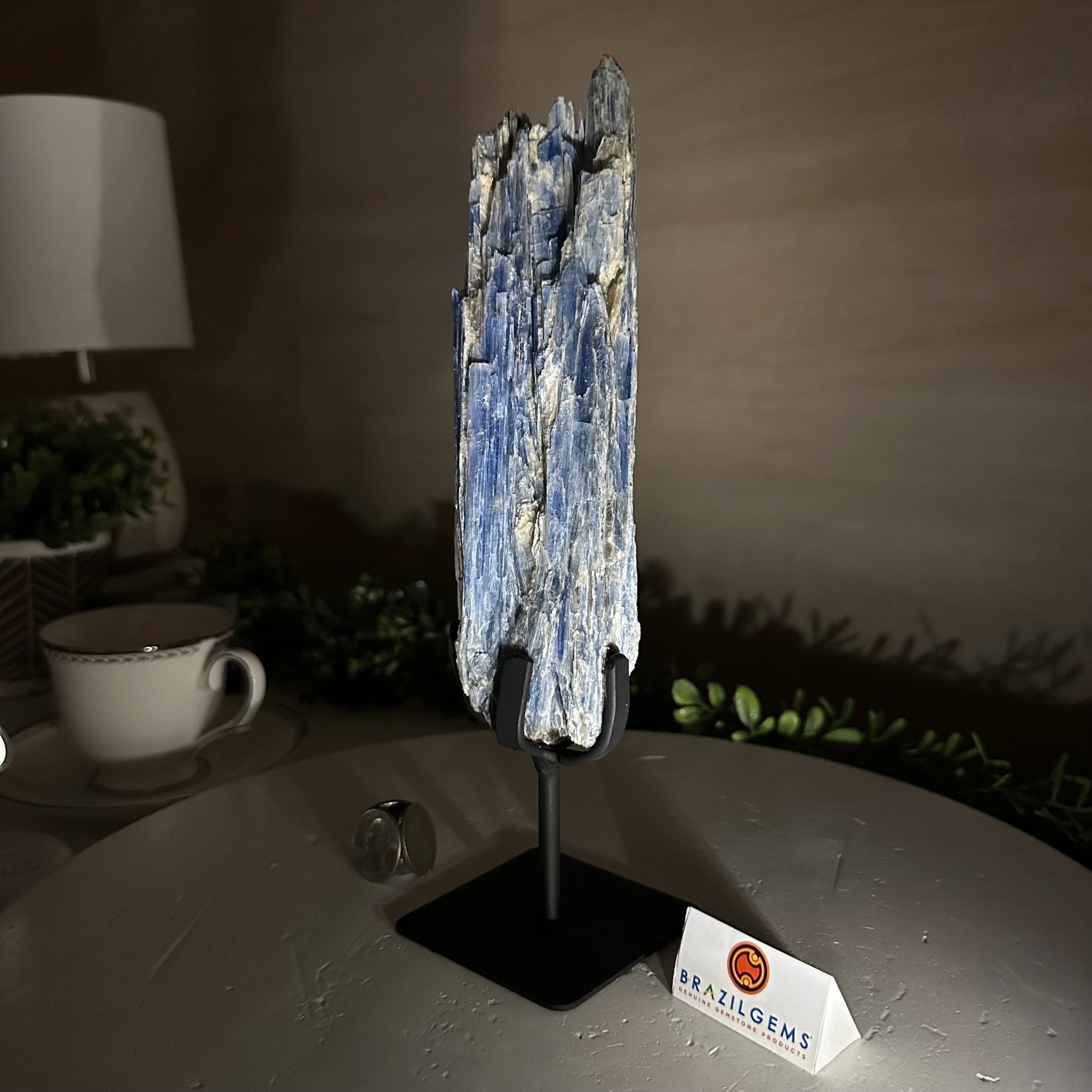 Kyanite Crystal on Metal Stand, 1.8 lbs & 10.1" Tall #6010 - 0004 - Brazil GemsBrazil GemsKyanite Crystal on Metal Stand, 1.8 lbs & 10.1" Tall #6010 - 0004Clusters on Fixed Bases6010 - 0004