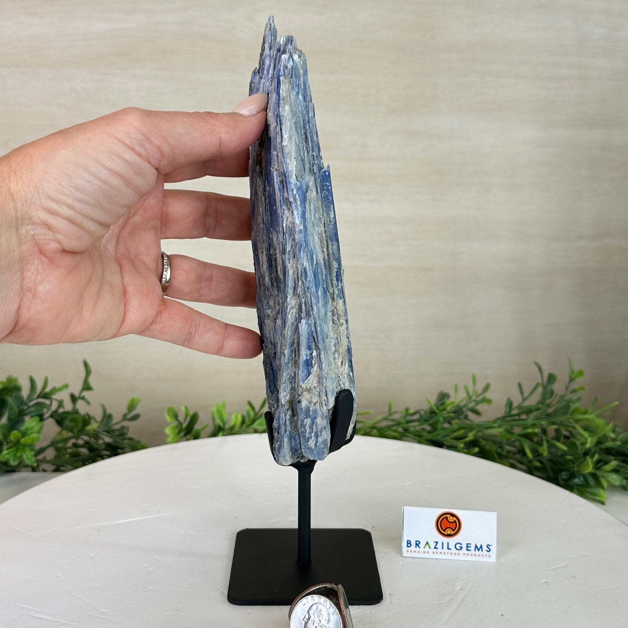 Kyanite Crystal on Metal Stand, 1.8 lbs & 10.1" Tall #6010 - 0004 - Brazil GemsBrazil GemsKyanite Crystal on Metal Stand, 1.8 lbs & 10.1" Tall #6010 - 0004Clusters on Fixed Bases6010 - 0004