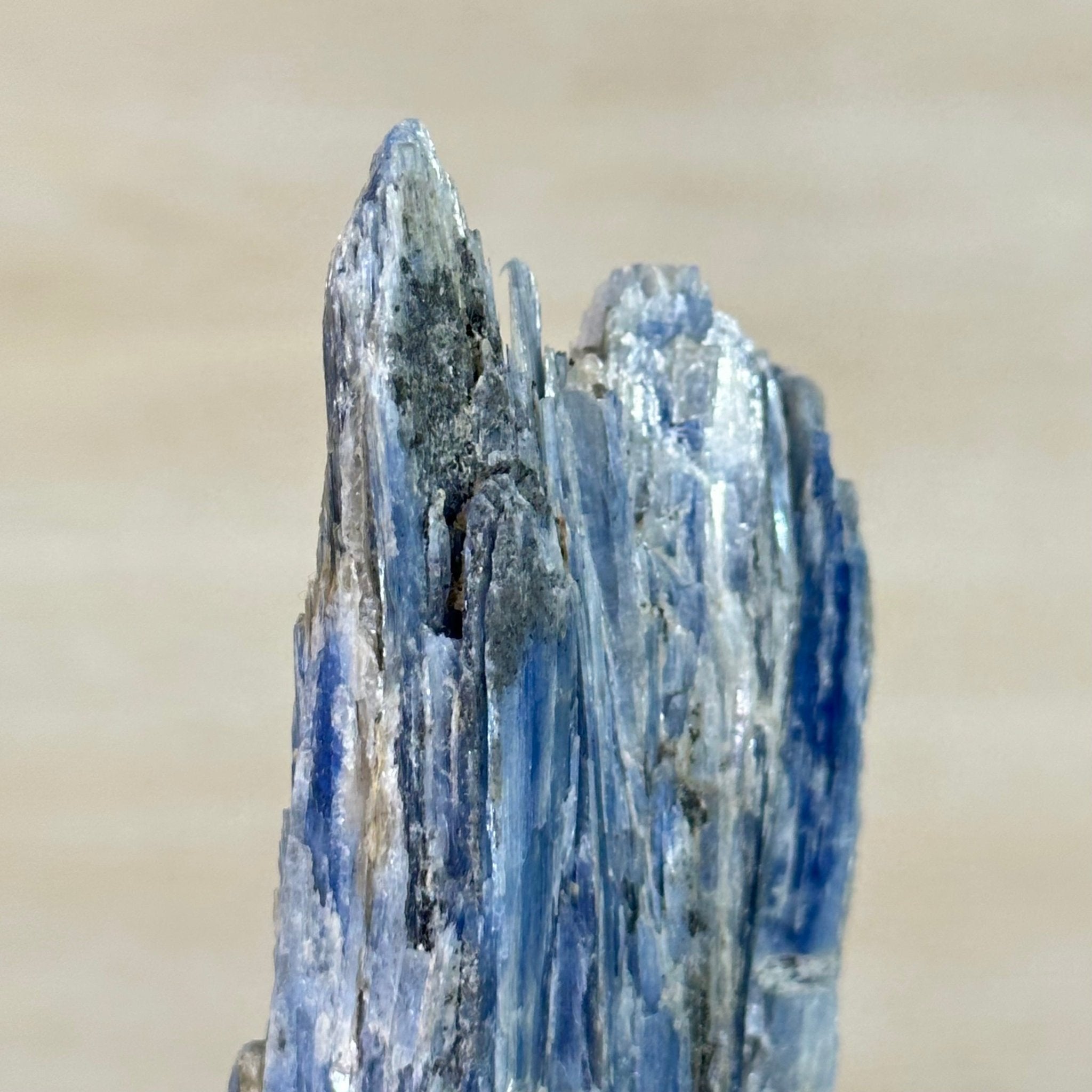 Kyanite Crystal on Metal Stand, 1.8 lbs & 10.1" Tall #6010 - 0004 - Brazil GemsBrazil GemsKyanite Crystal on Metal Stand, 1.8 lbs & 10.1" Tall #6010 - 0004Clusters on Fixed Bases6010 - 0004