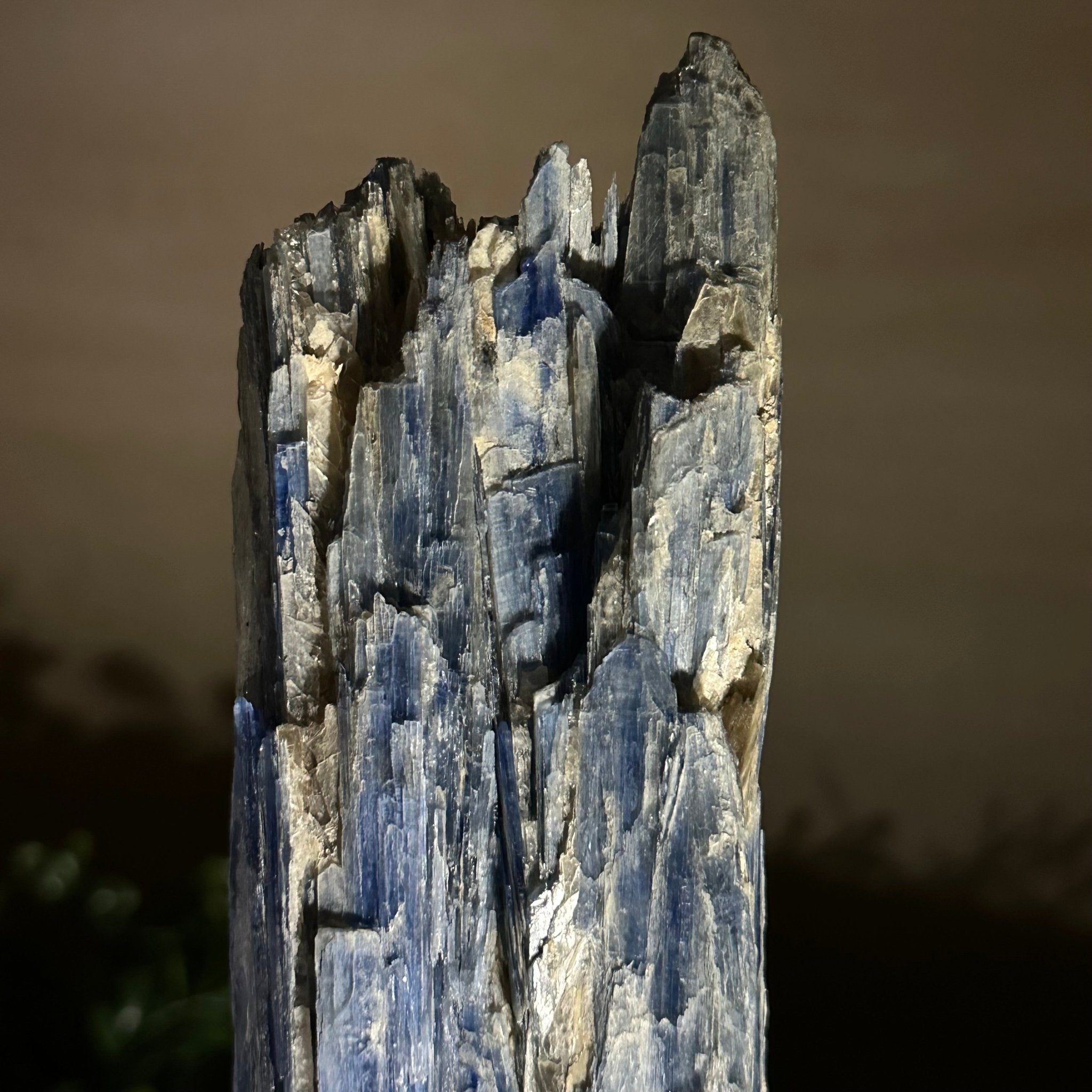 Kyanite Crystal on Metal Stand, 1.8 lbs & 10.1" Tall #6010 - 0004 - Brazil GemsBrazil GemsKyanite Crystal on Metal Stand, 1.8 lbs & 10.1" Tall #6010 - 0004Clusters on Fixed Bases6010 - 0004